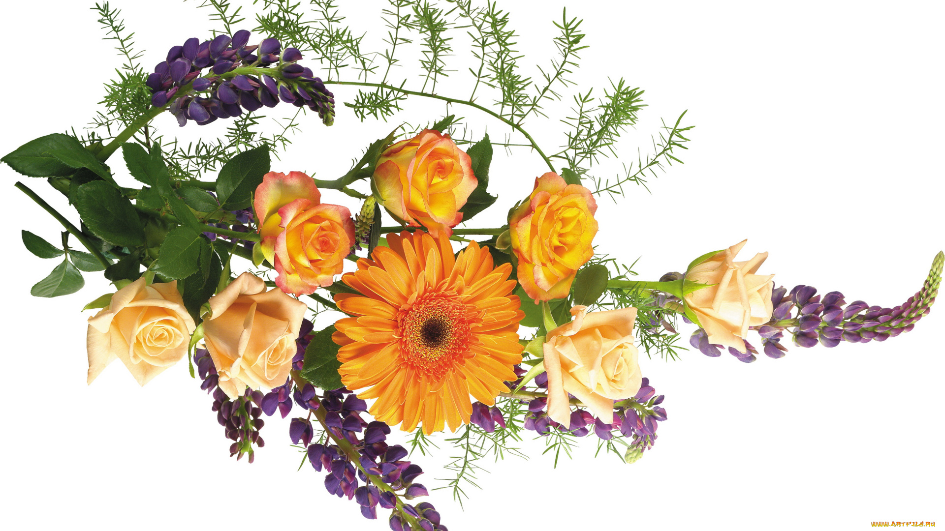 цветы, букеты, композиции, букет, розы, герберы