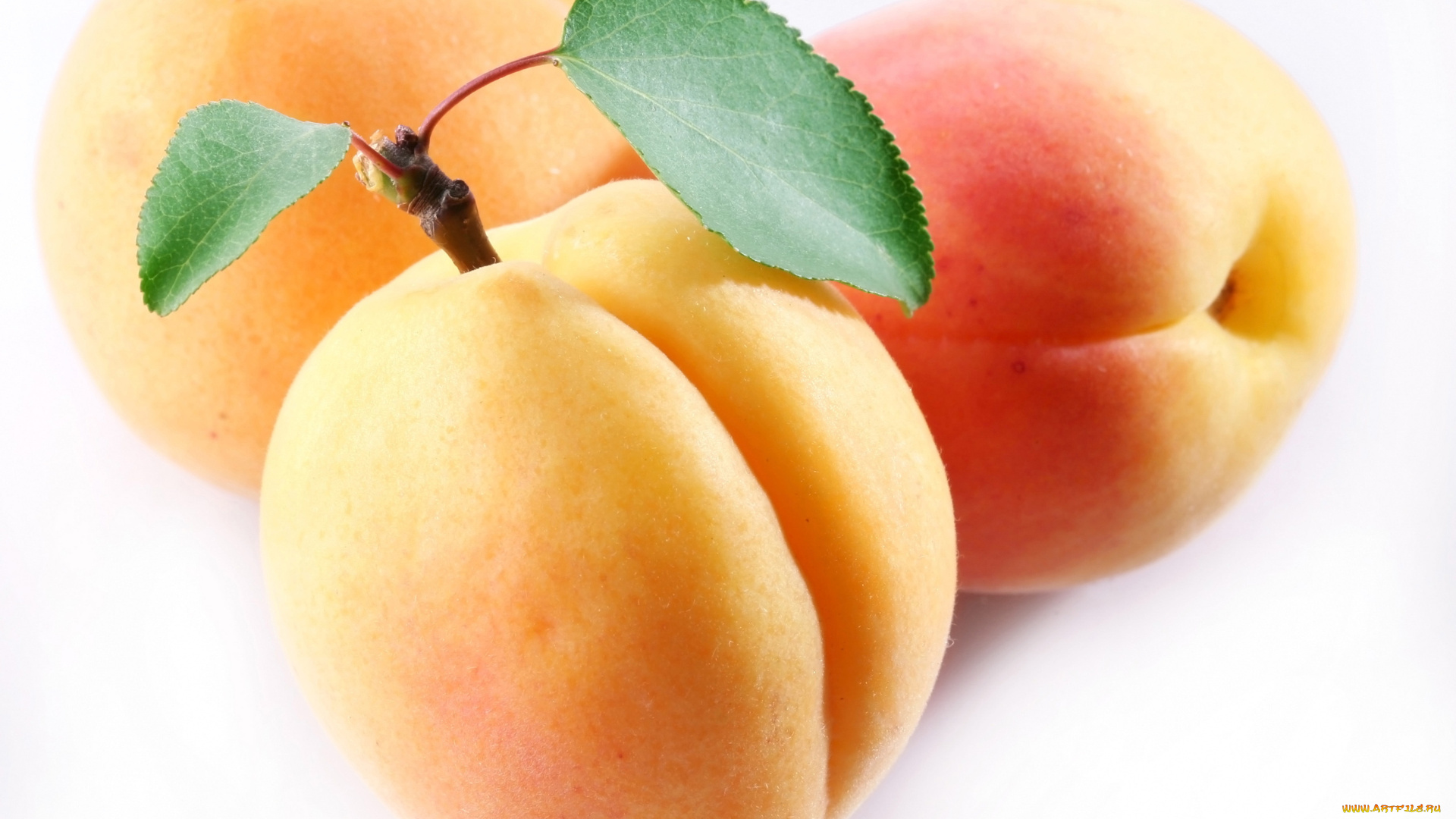 еда, персики, сливы, абрикосы