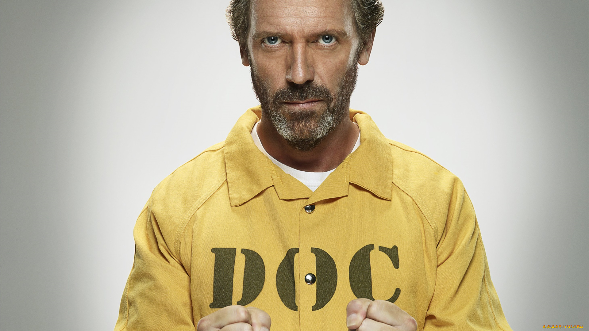 hugh, laurie, мужчины, писатель, музыкант, актёр, великобритания, золотой, глобус