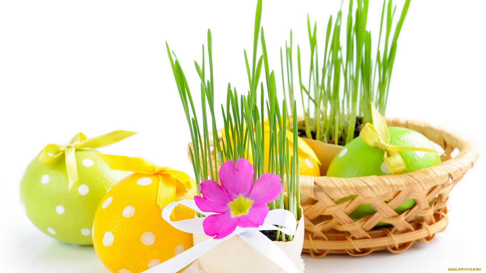 праздничные, пасха, яйца