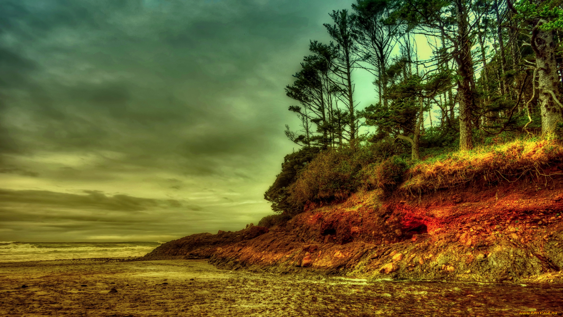 природа, побережье, сосны, обрыв, берег, океан