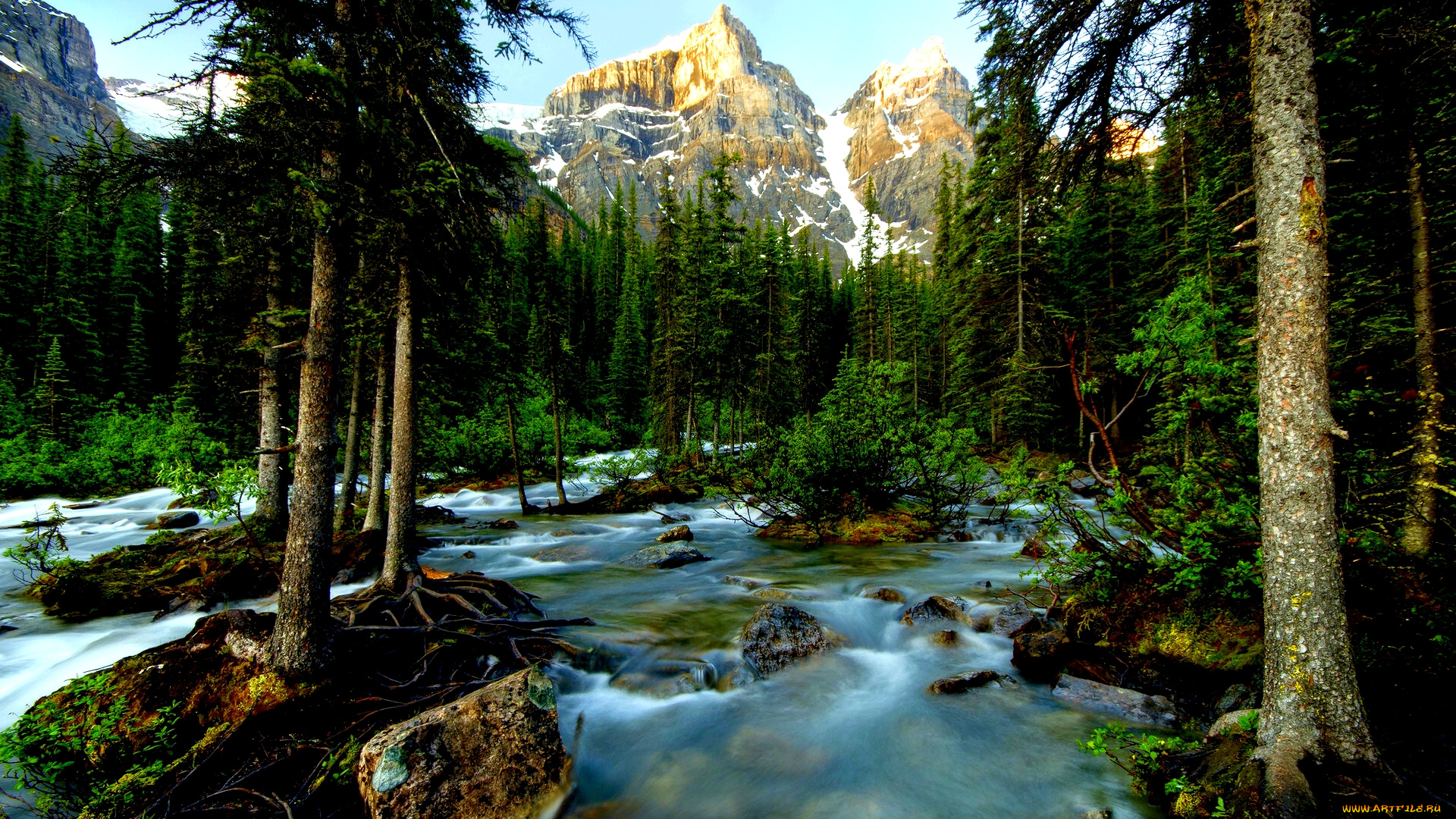 природа, реки, озера, стремнина, река, лес, горы, пики