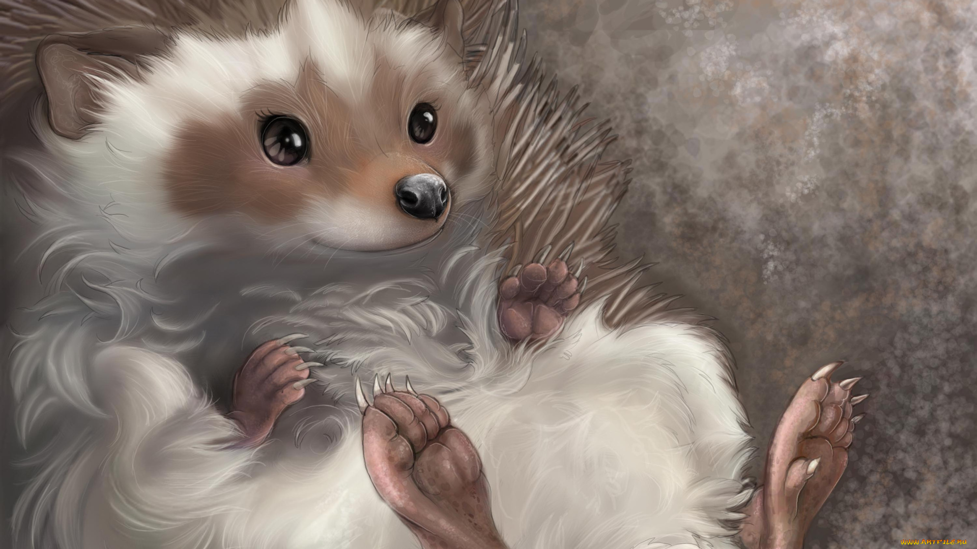 рисованные, животные, ежи, ежик