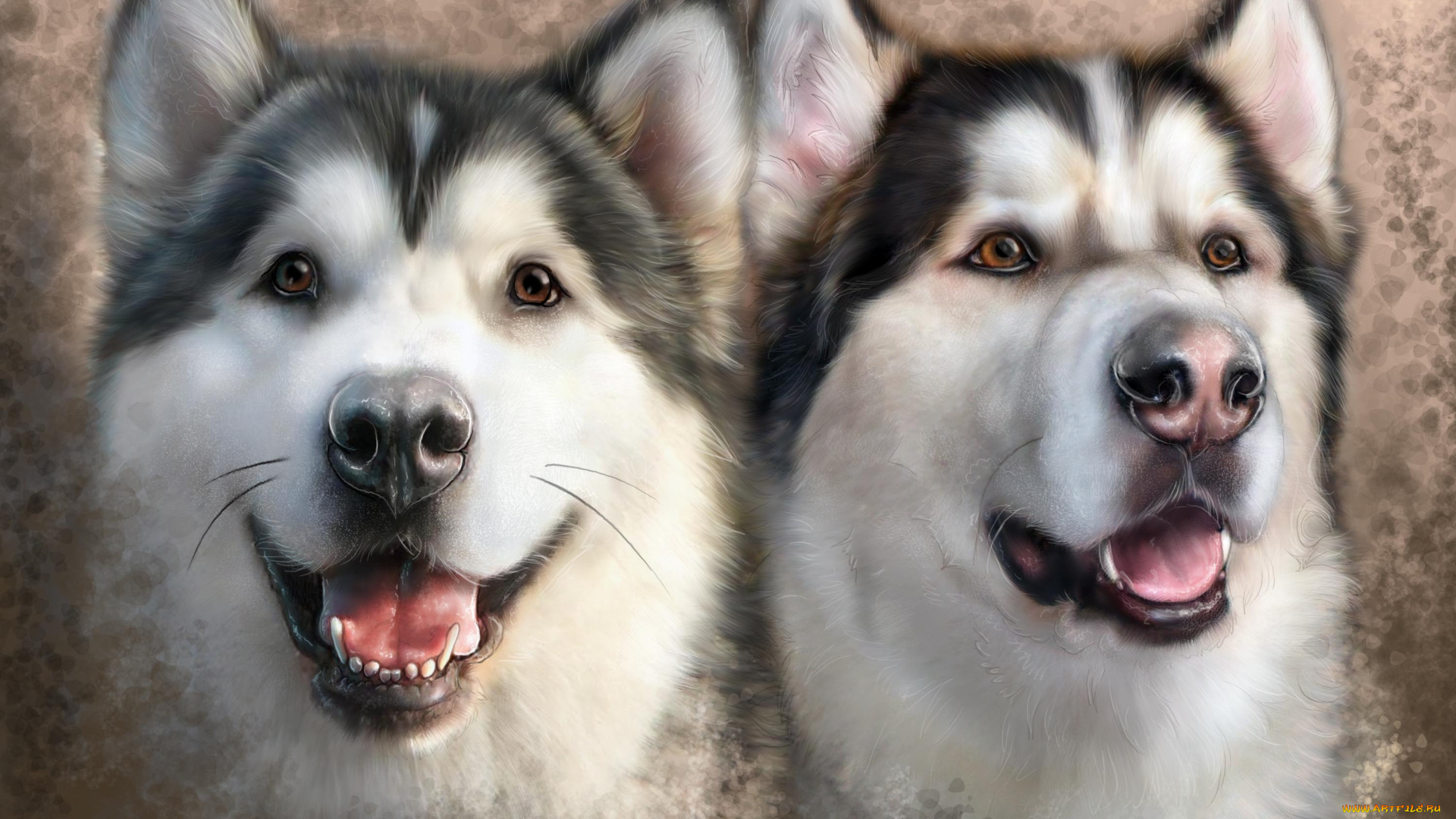 рисованные, животные, собаки