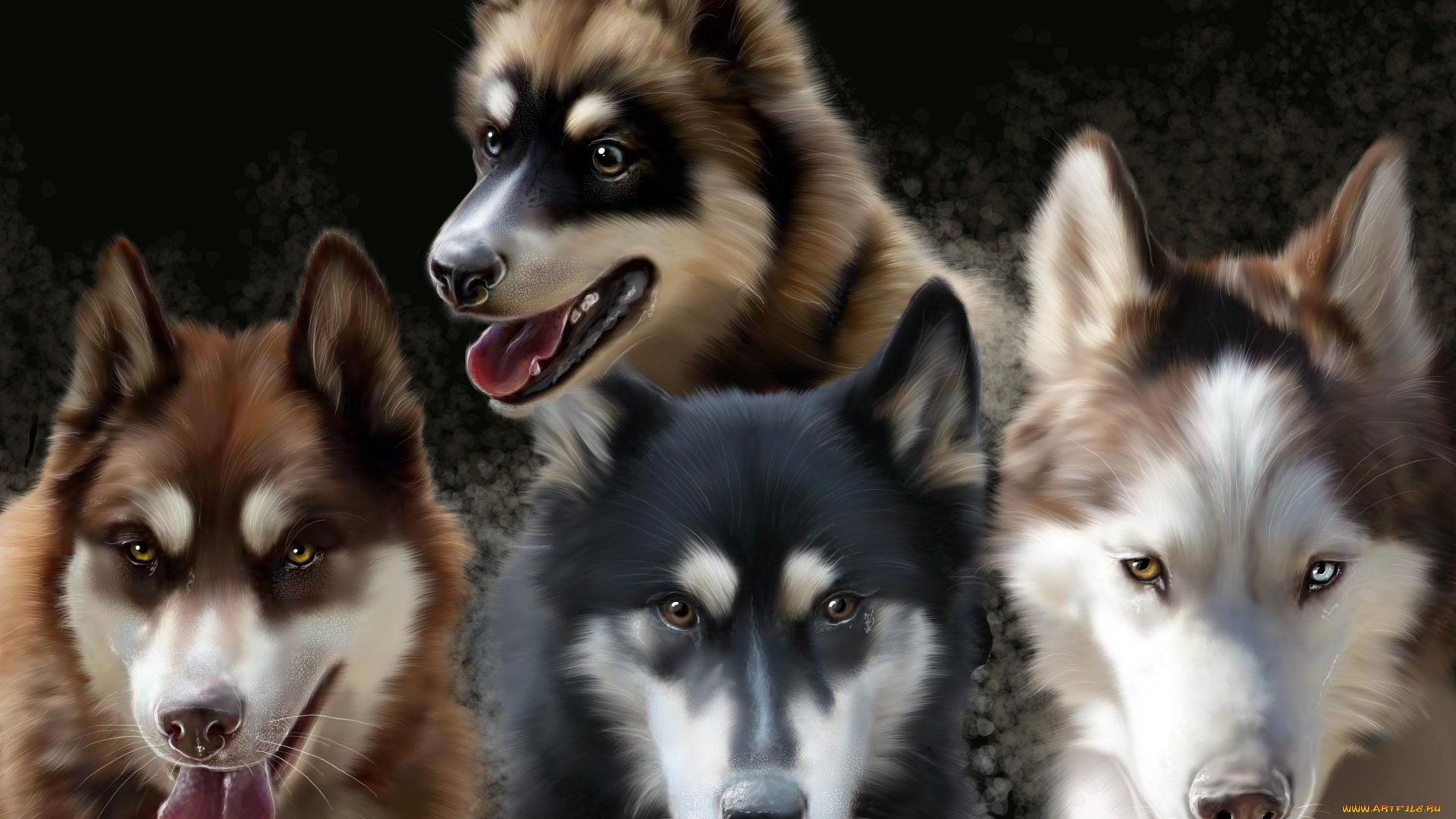 рисованные, животные, собаки