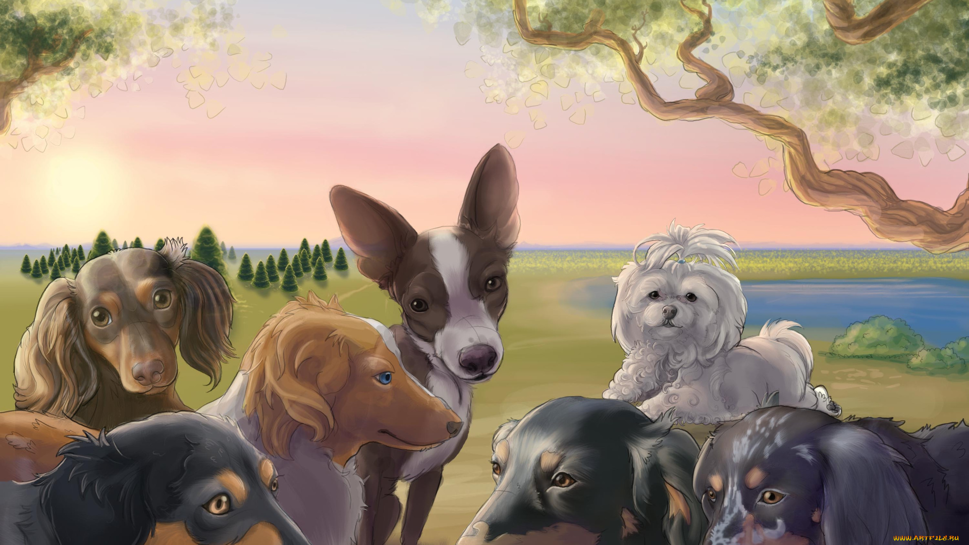 рисованные, животные, собаки