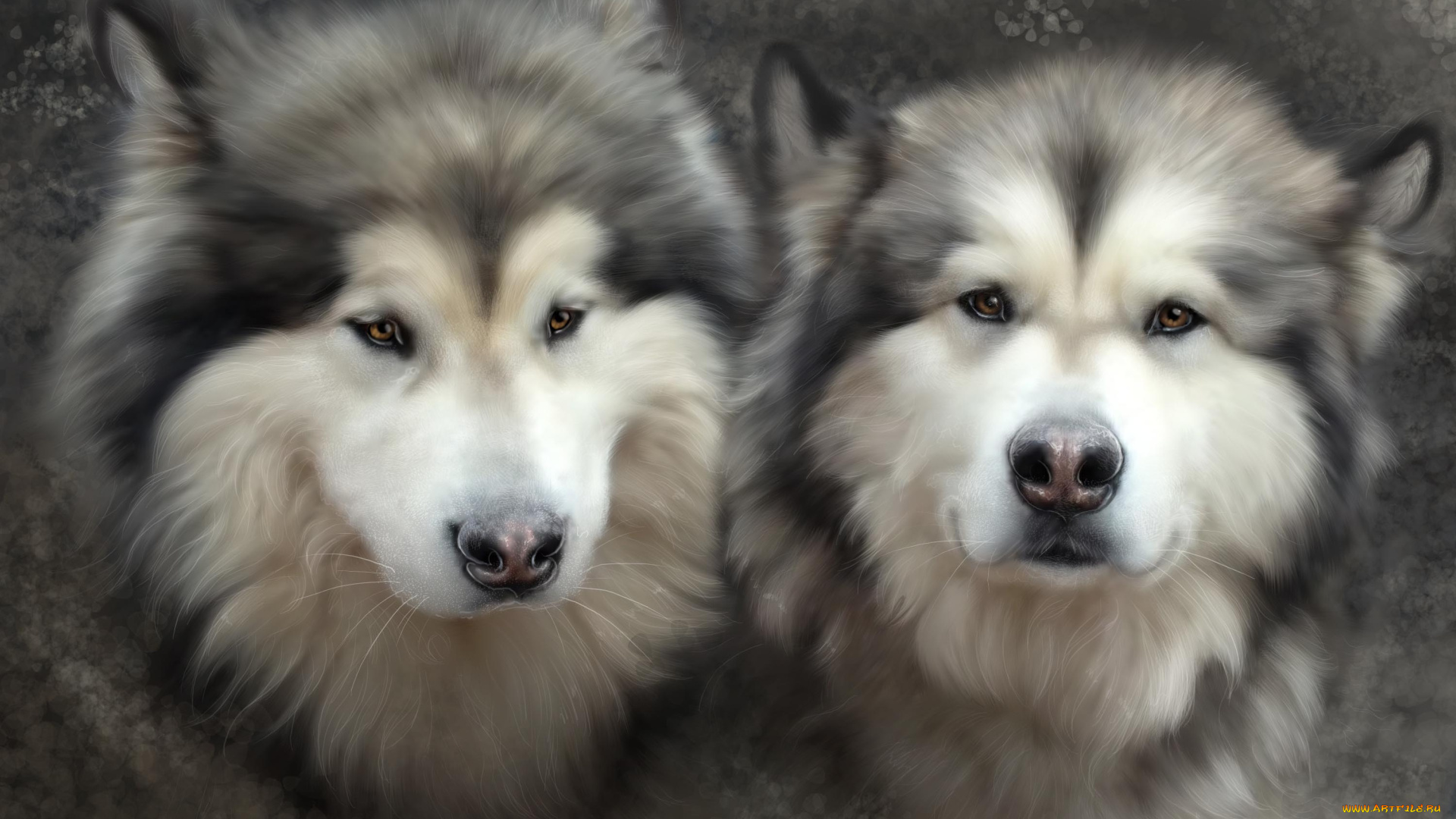 рисованные, животные, собаки