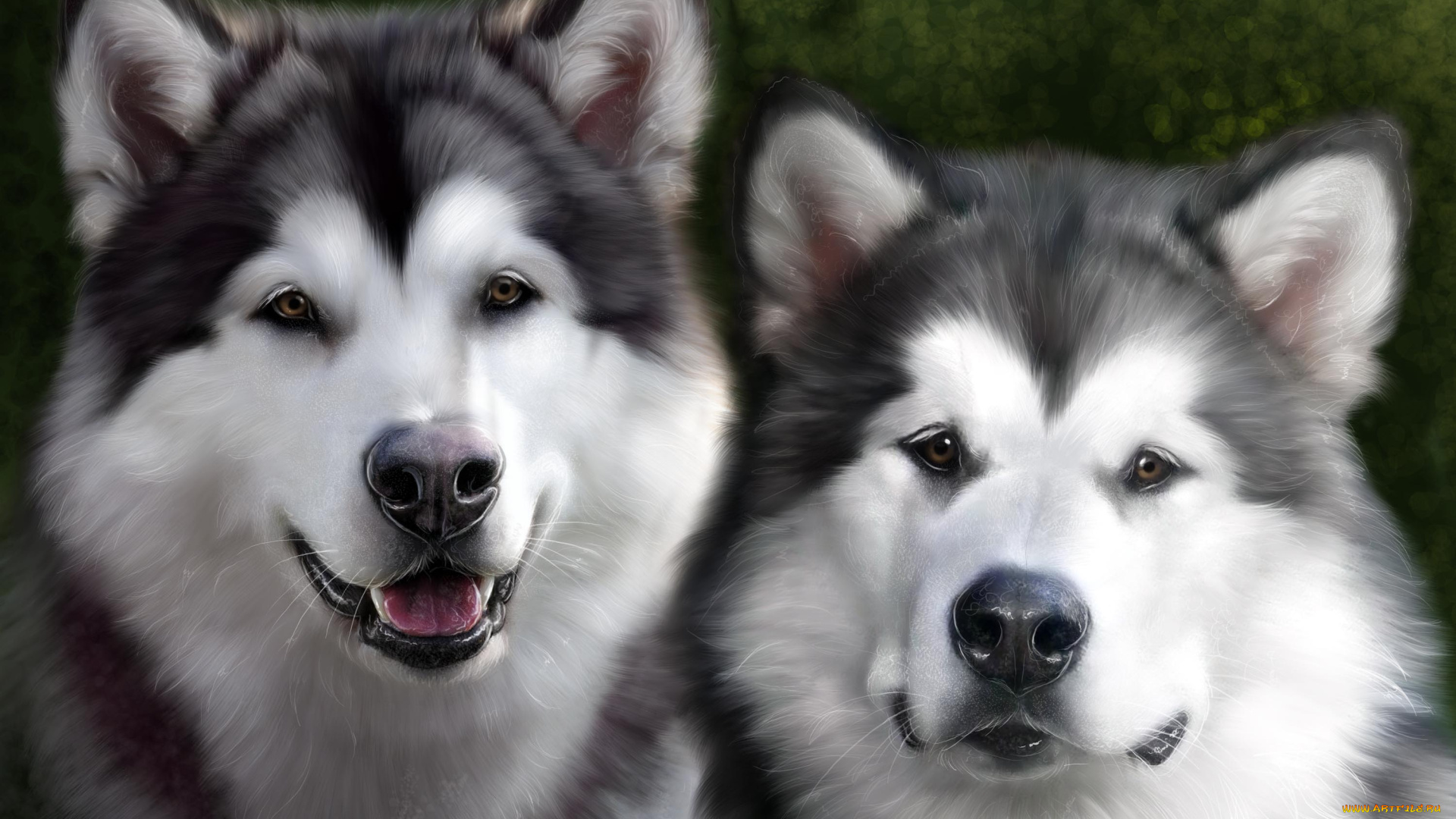 рисованные, животные, собаки