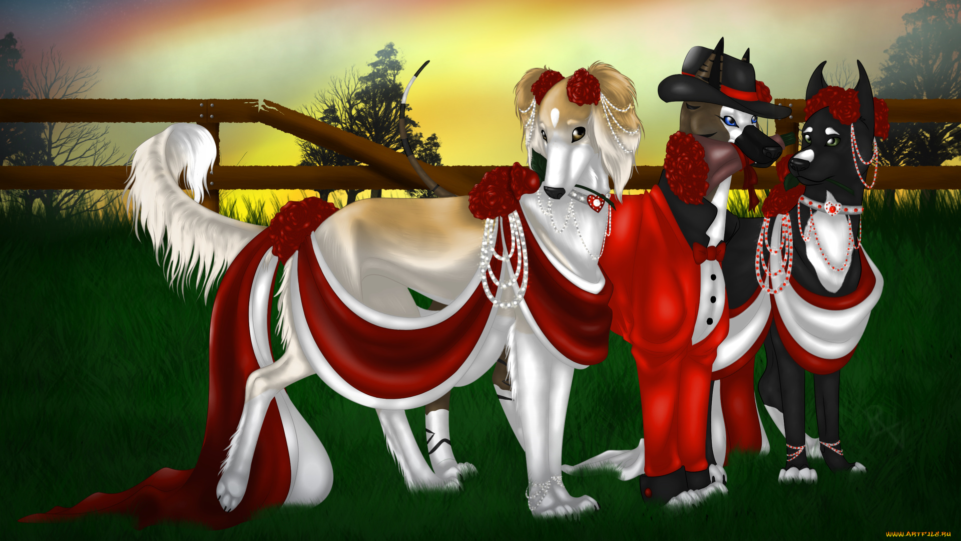 рисованные, животные, собаки, лето