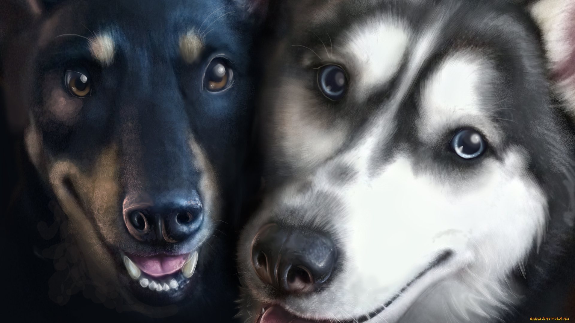 рисованные, животные, собаки, мотоциклы