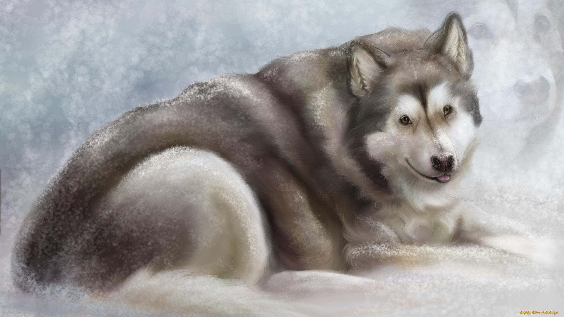 рисованные, животные, собаки, собака