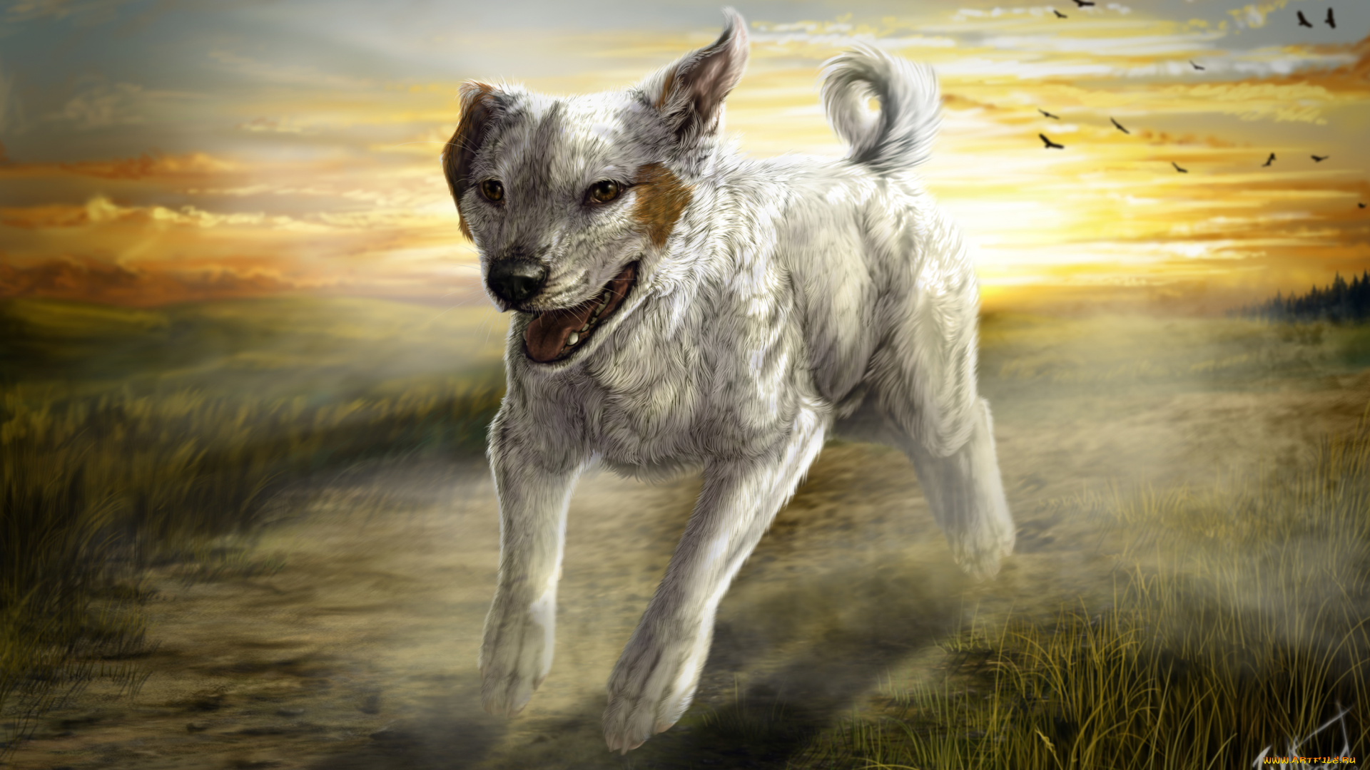 рисованные, животные, собаки, собака