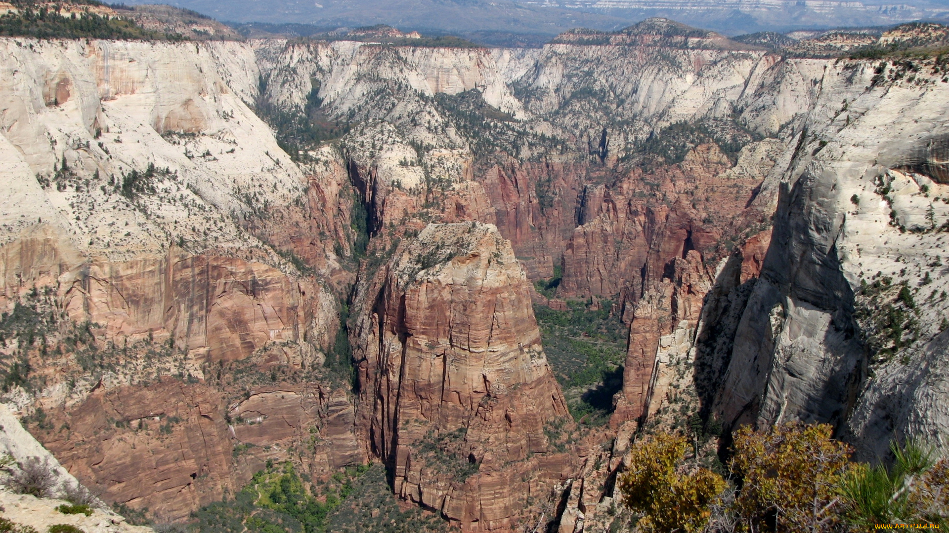 zion, canyon, природа, горы