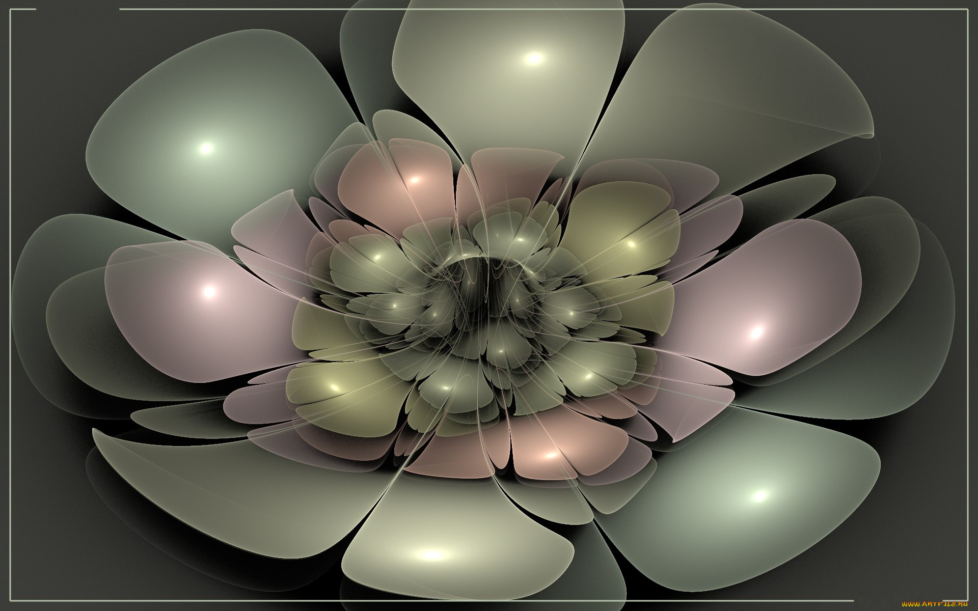 3д, графика, flowers, цветы, лепестки