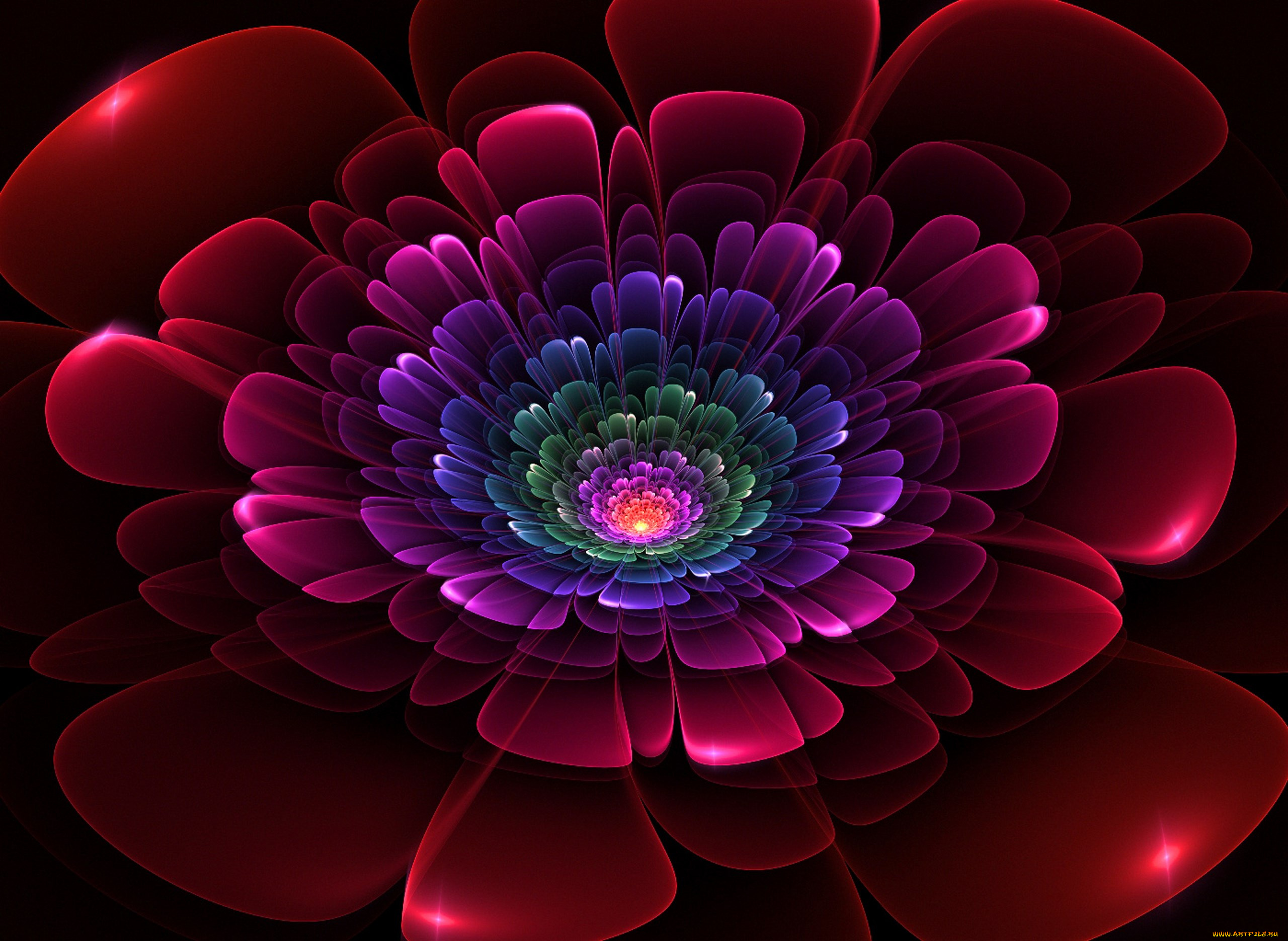 3д, графика, flowers, цветы, лепестки