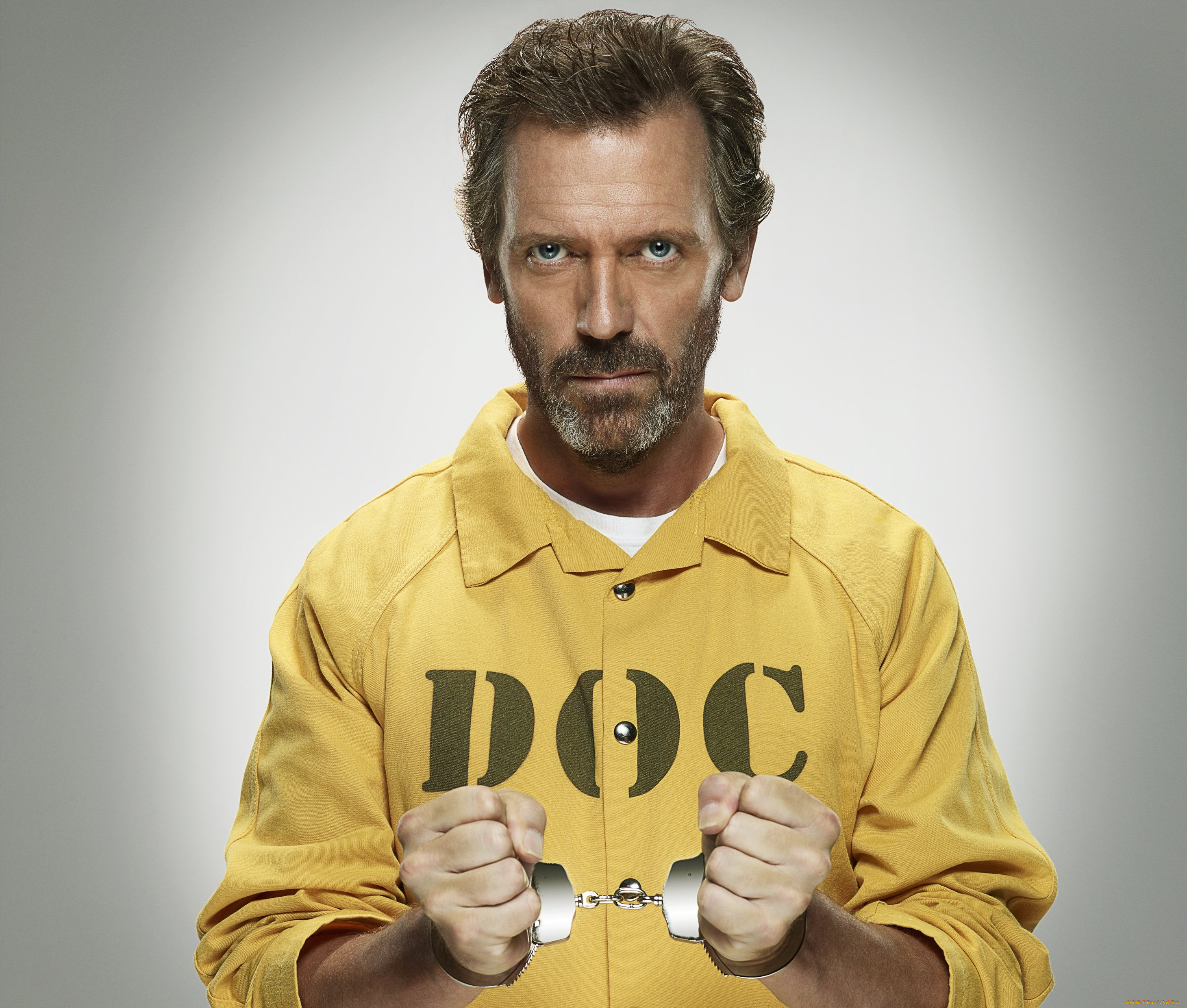 hugh, laurie, мужчины, писатель, музыкант, актёр, великобритания, золотой, глобус