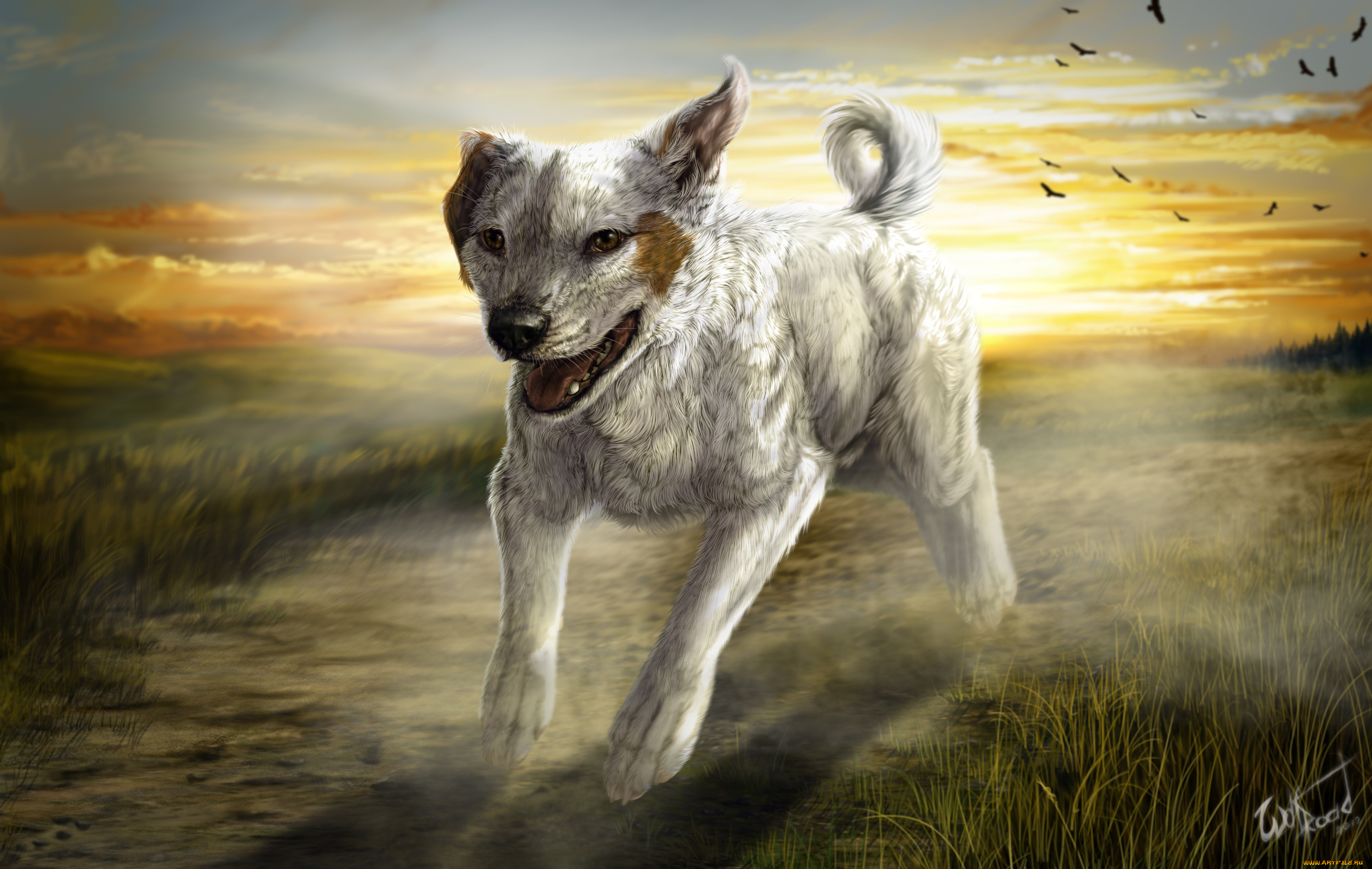 рисованные, животные, собаки, собака