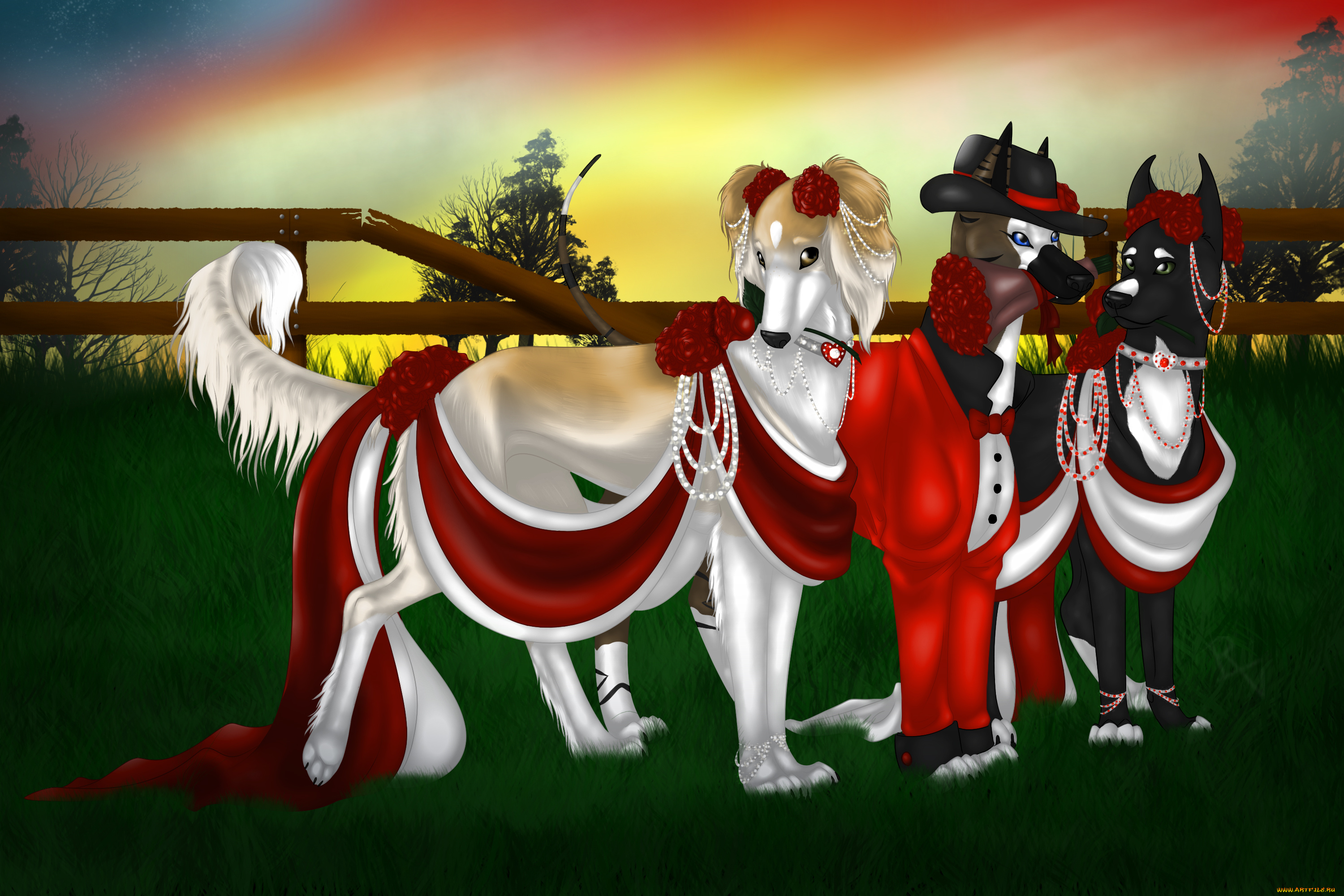 рисованные, животные, собаки, лето