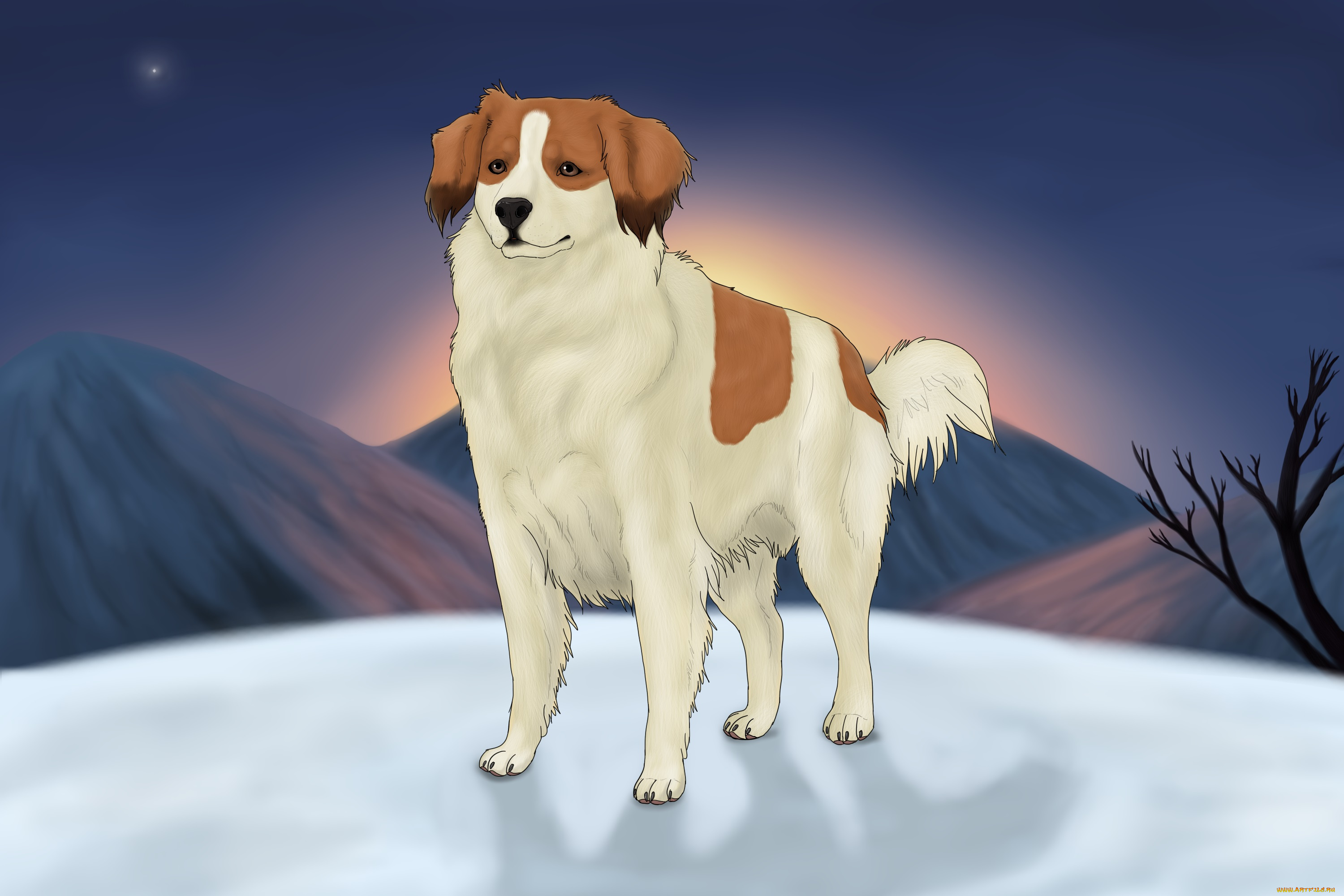 рисованные, животные, собаки, собака