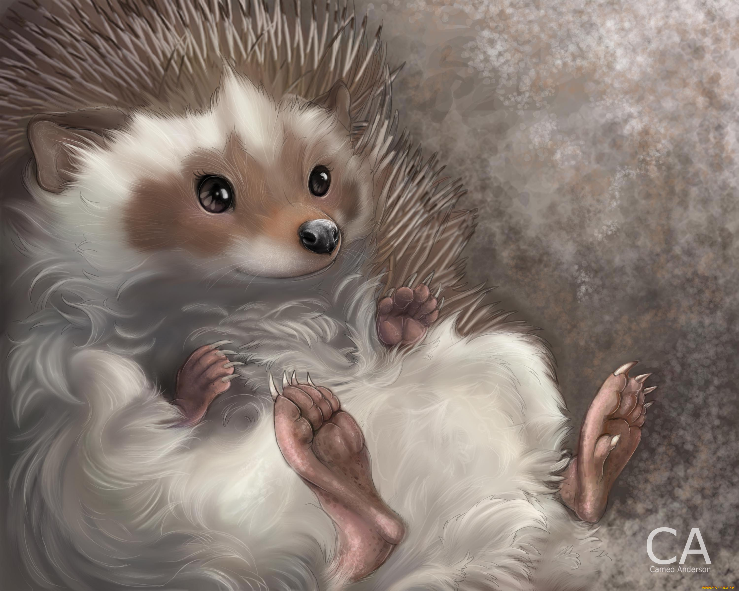 рисованные, животные, ежи, ежик