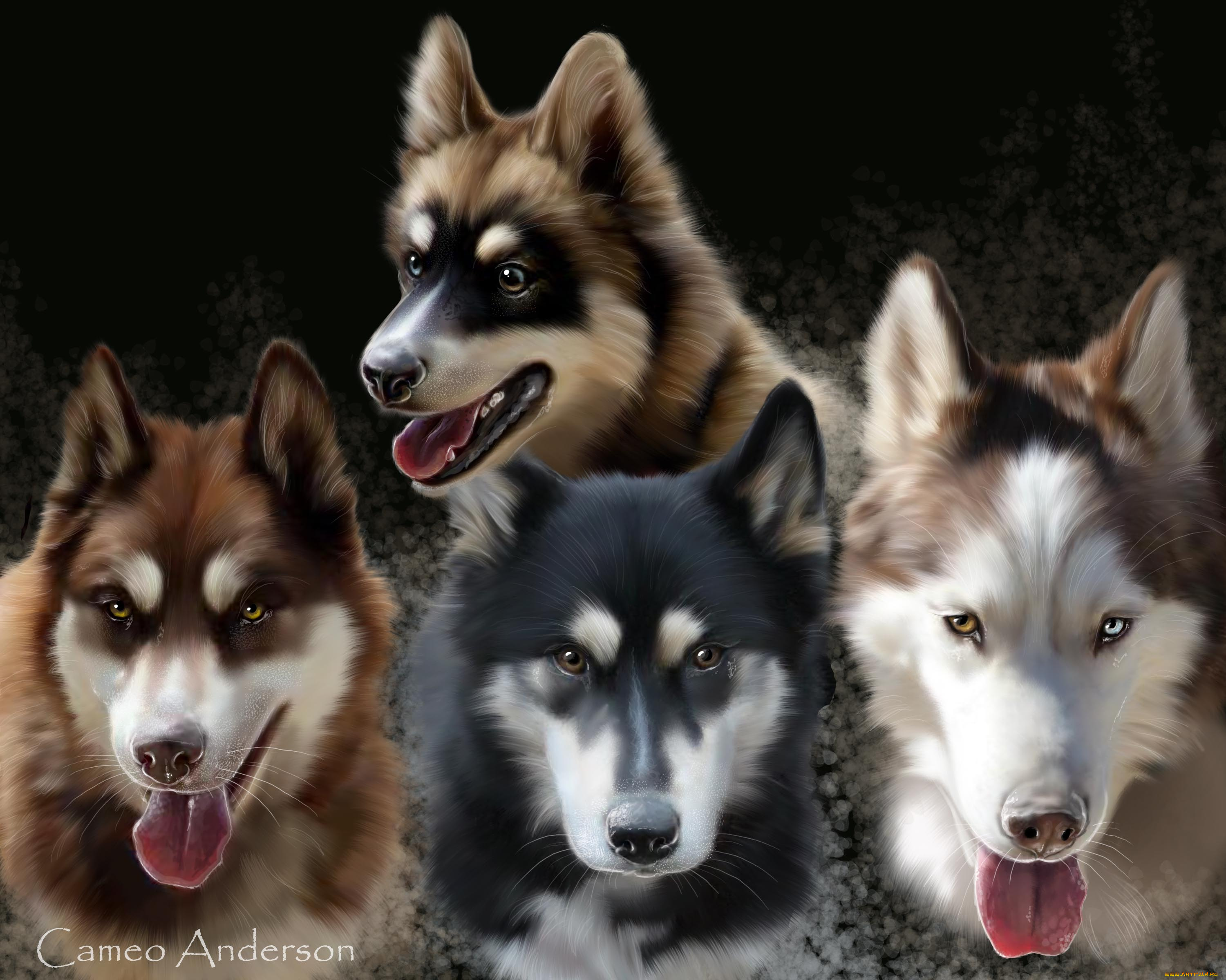 рисованные, животные, собаки