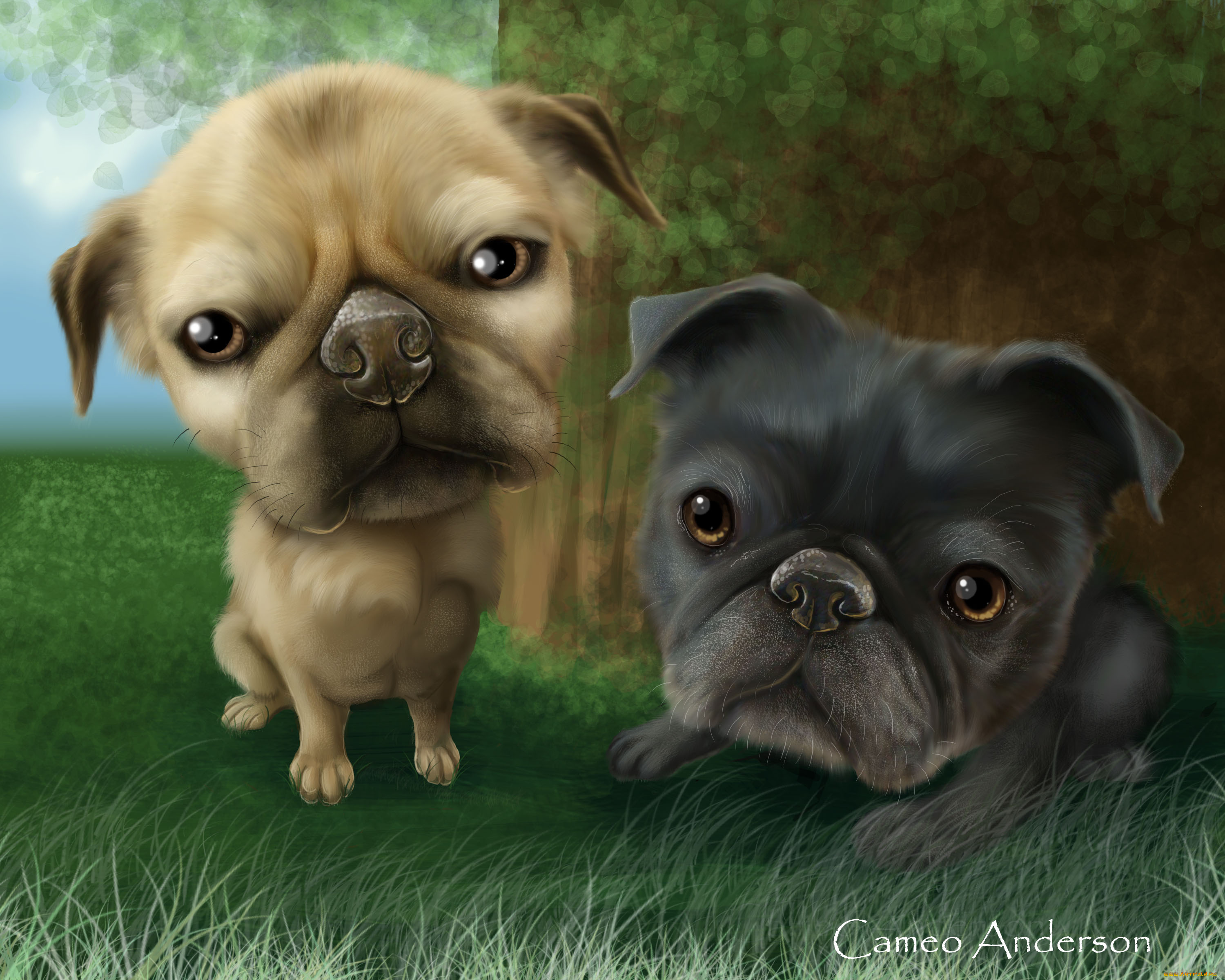 рисованные, животные, собаки