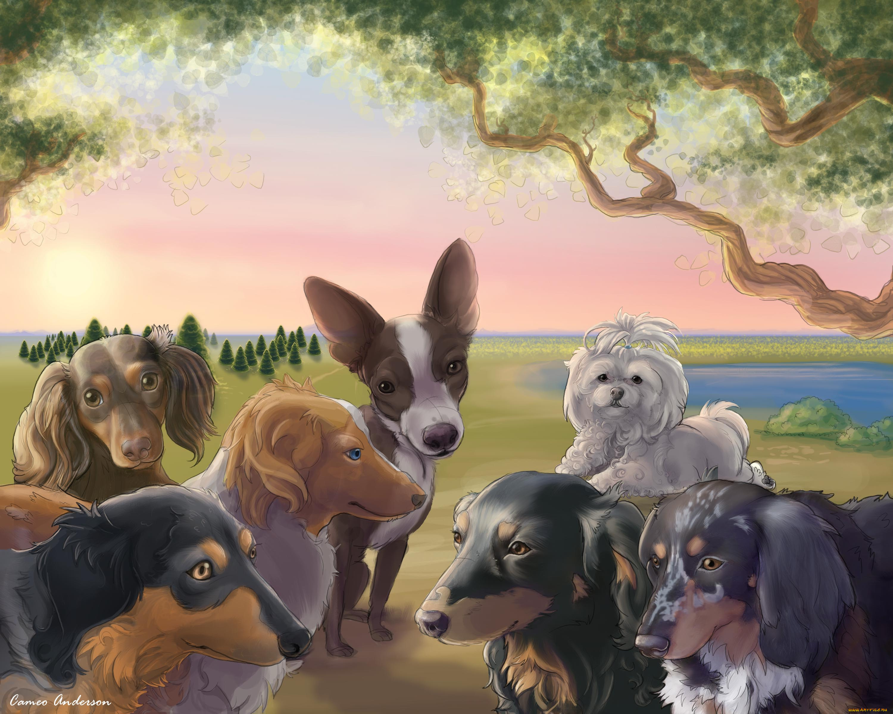 рисованные, животные, собаки