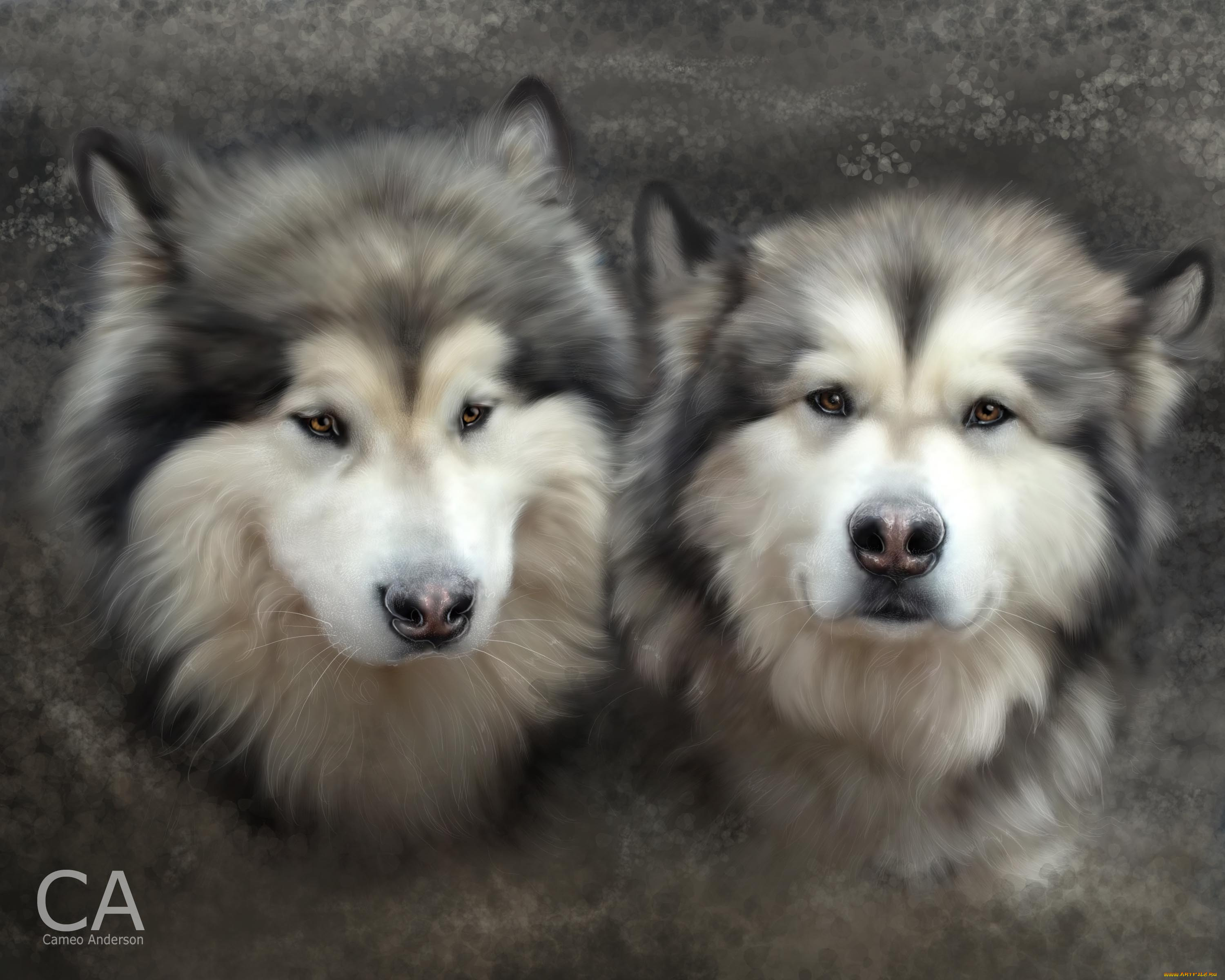 рисованные, животные, собаки