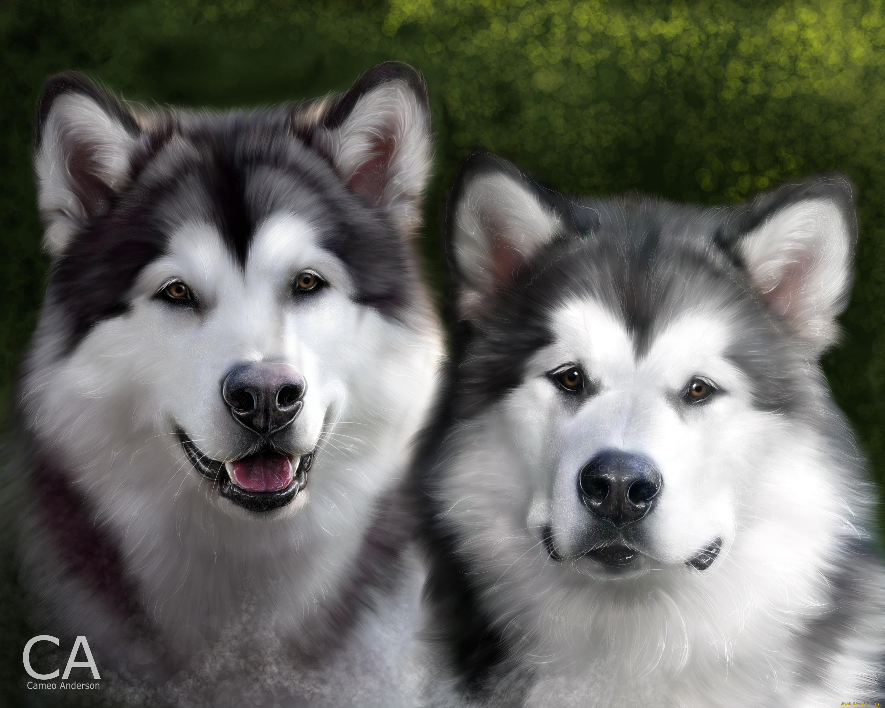 рисованные, животные, собаки