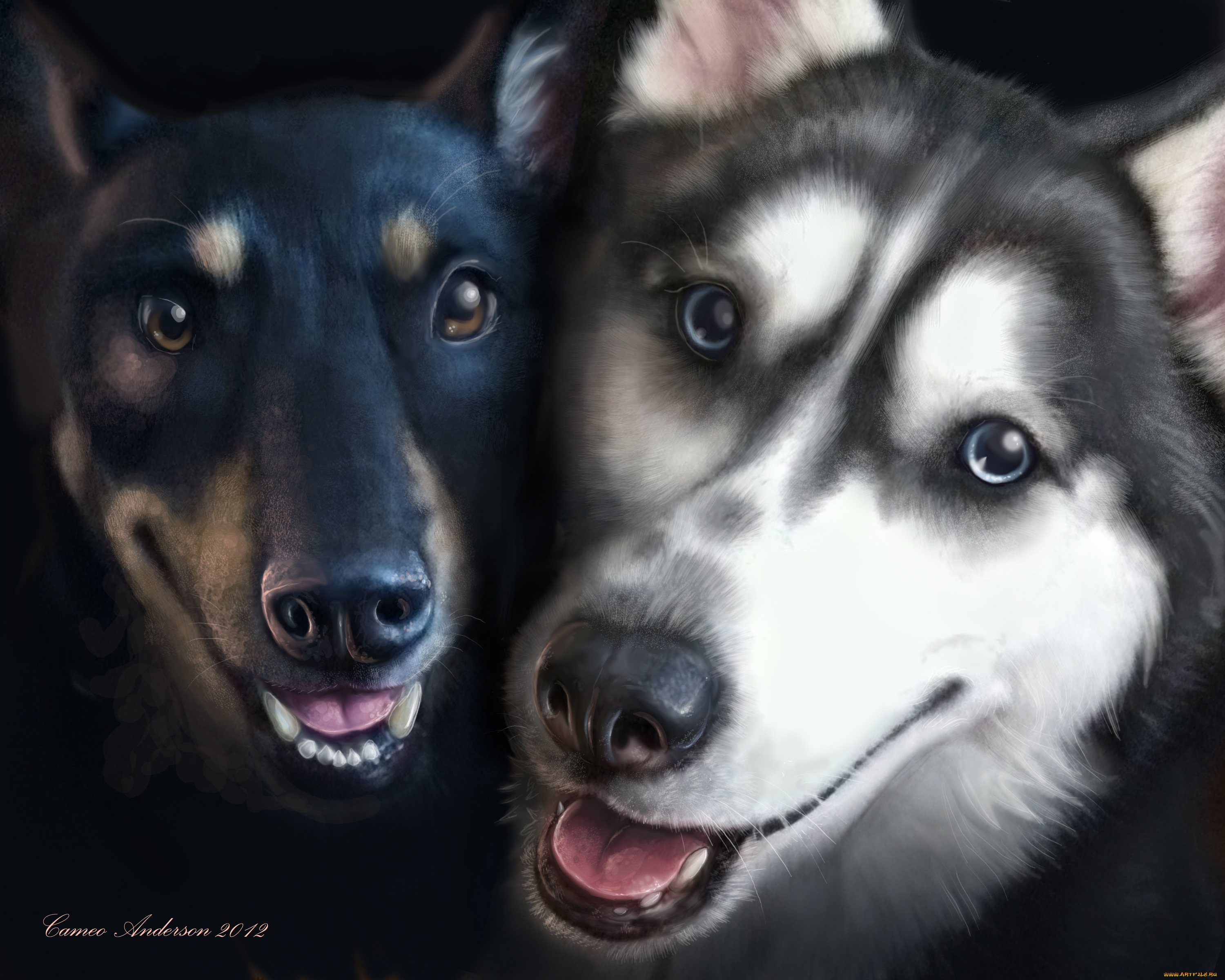 рисованные, животные, собаки, мотоциклы