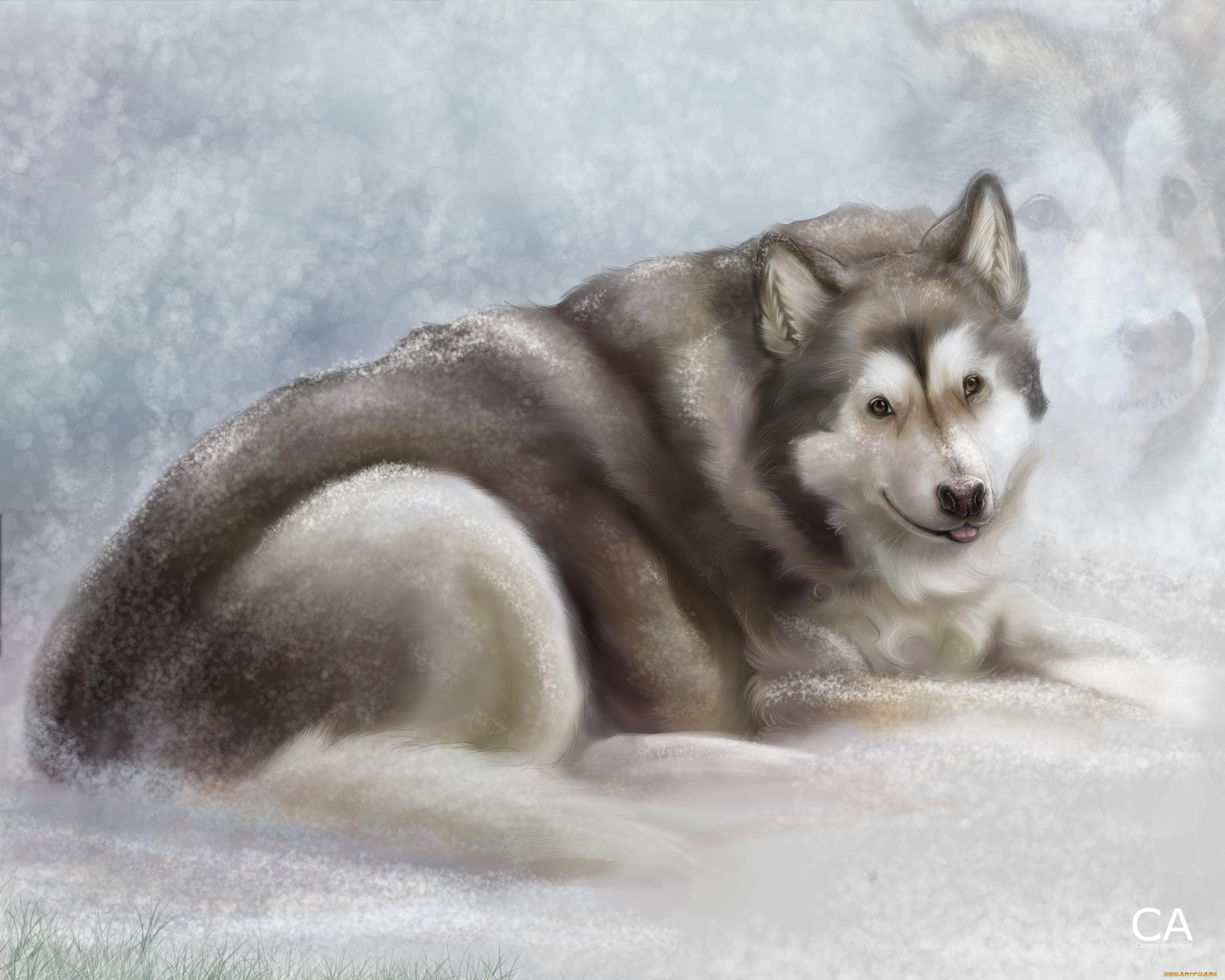 рисованные, животные, собаки, собака