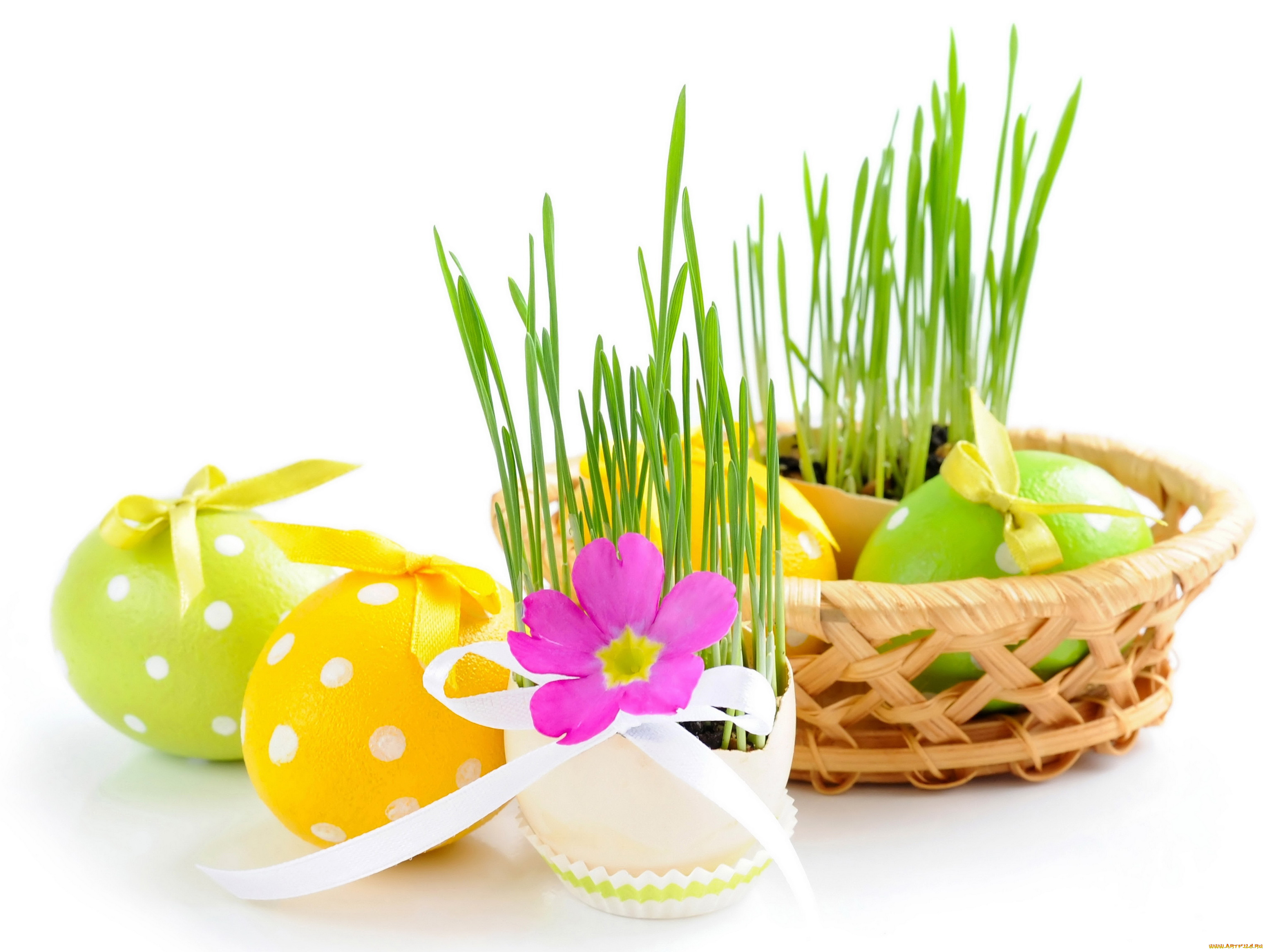 праздничные, пасха, яйца