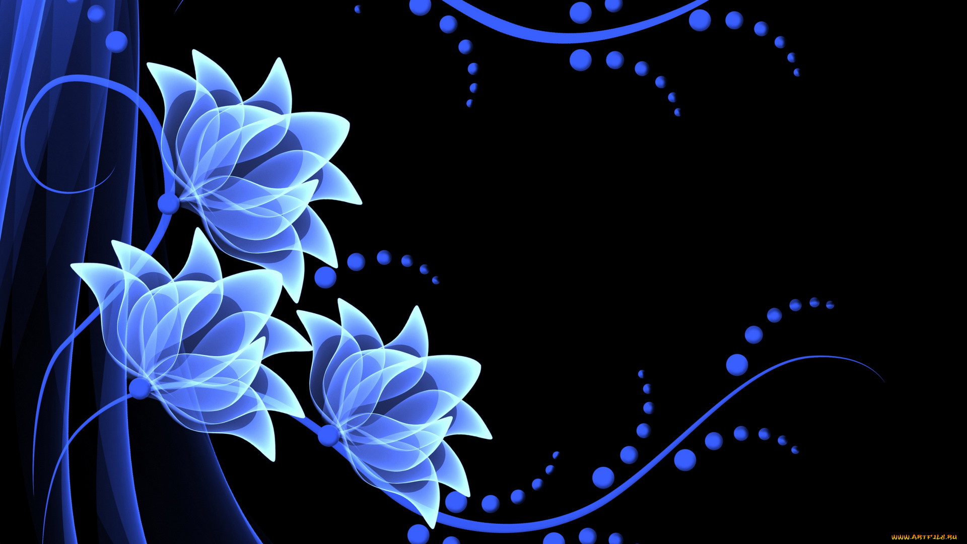 3д, графика, abstract, , абстракции, неоновые, цветы, flowers, vector, background, neon