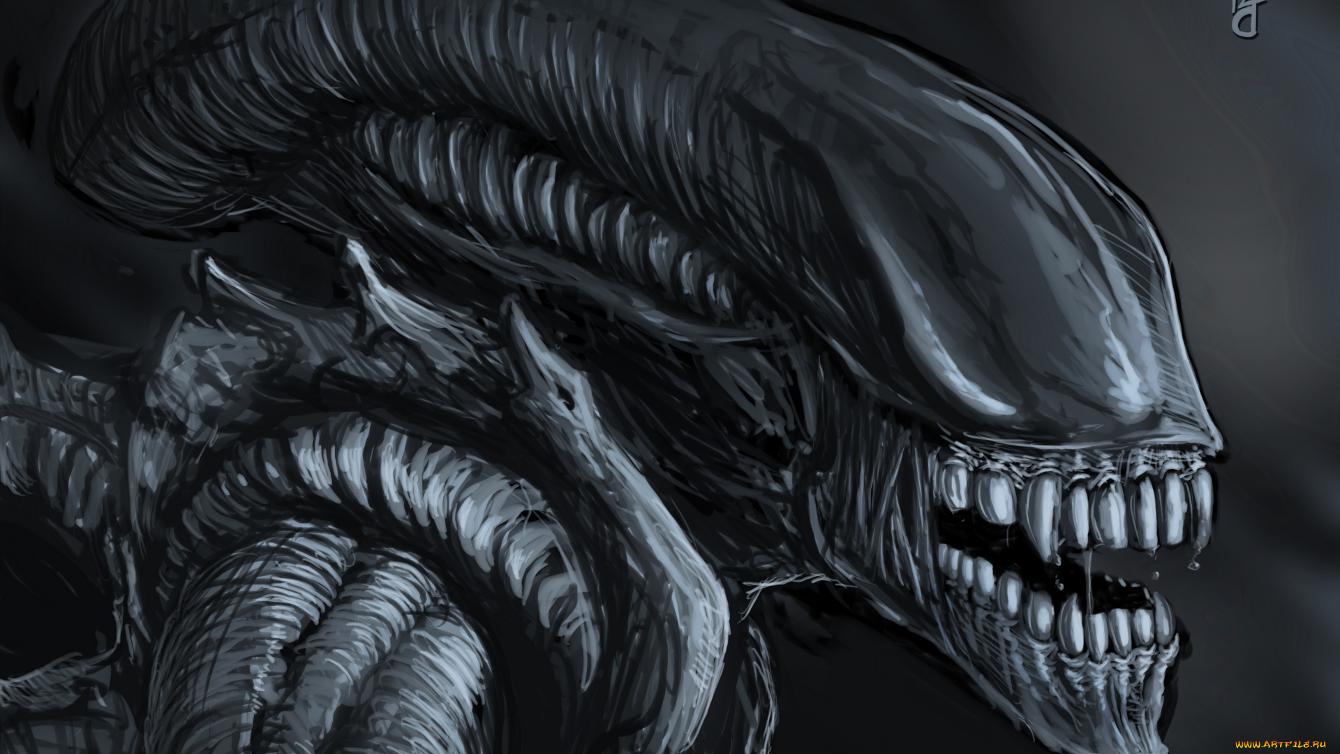 фэнтези, Чужой, , alien, зубы, монстр, чудовище, существо, пасть, Чужой