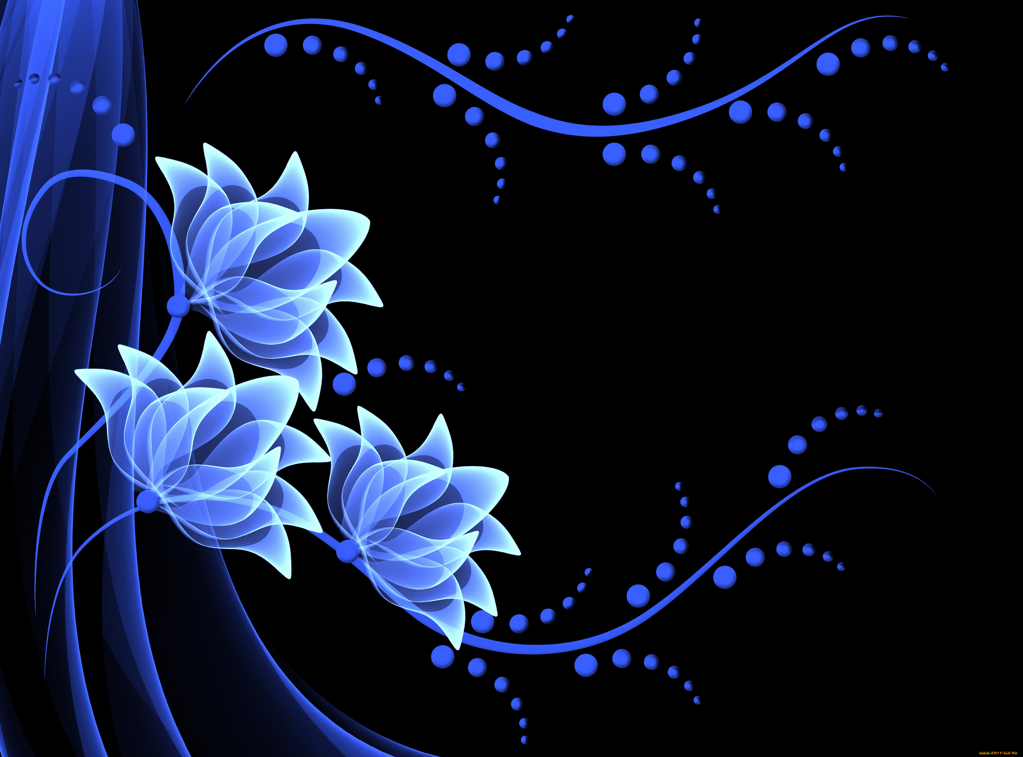 3д, графика, abstract, , абстракции, неоновые, цветы, flowers, vector, background, neon