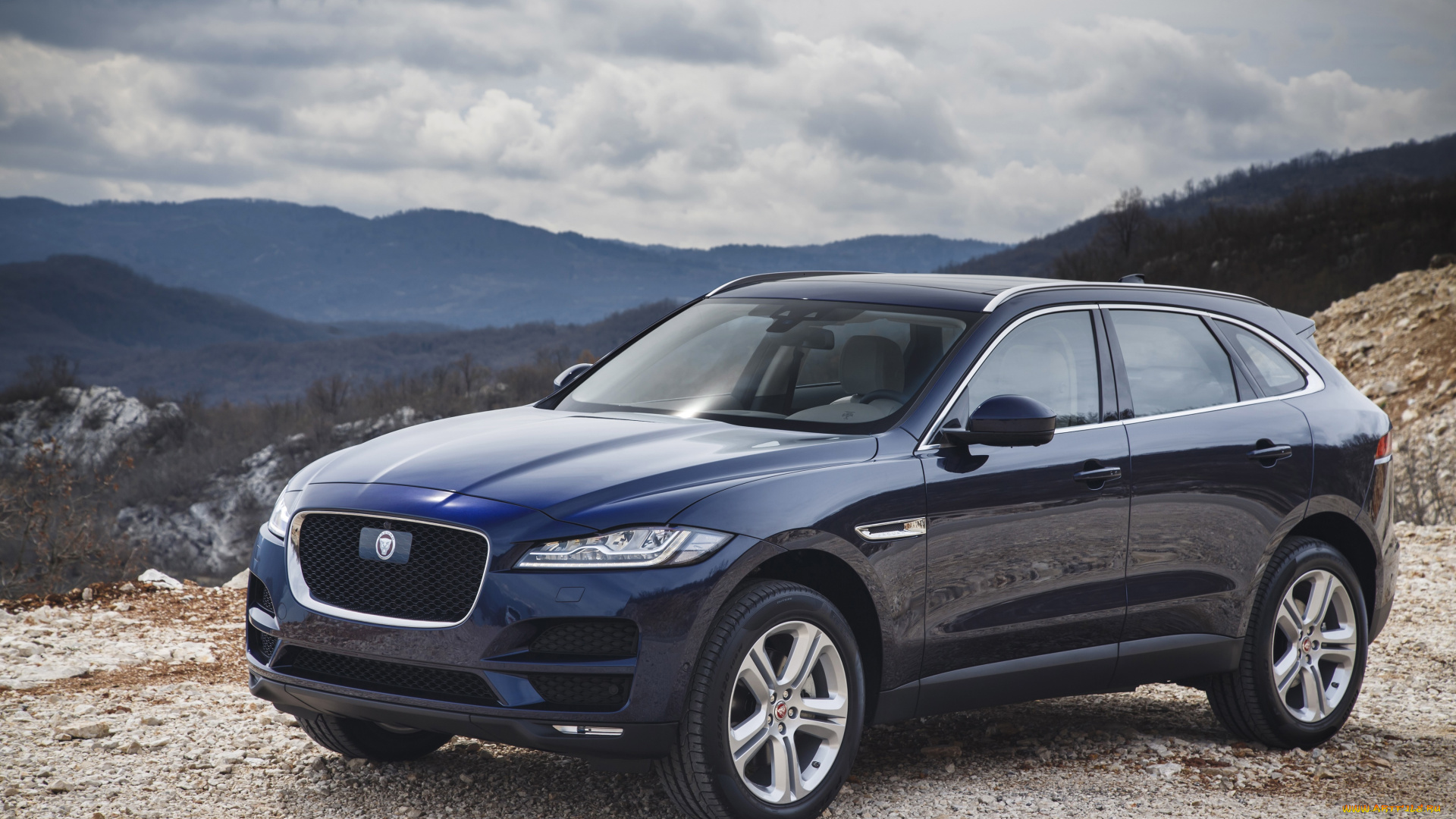 автомобили, jaguar, 2016г, portfolio, f-pace