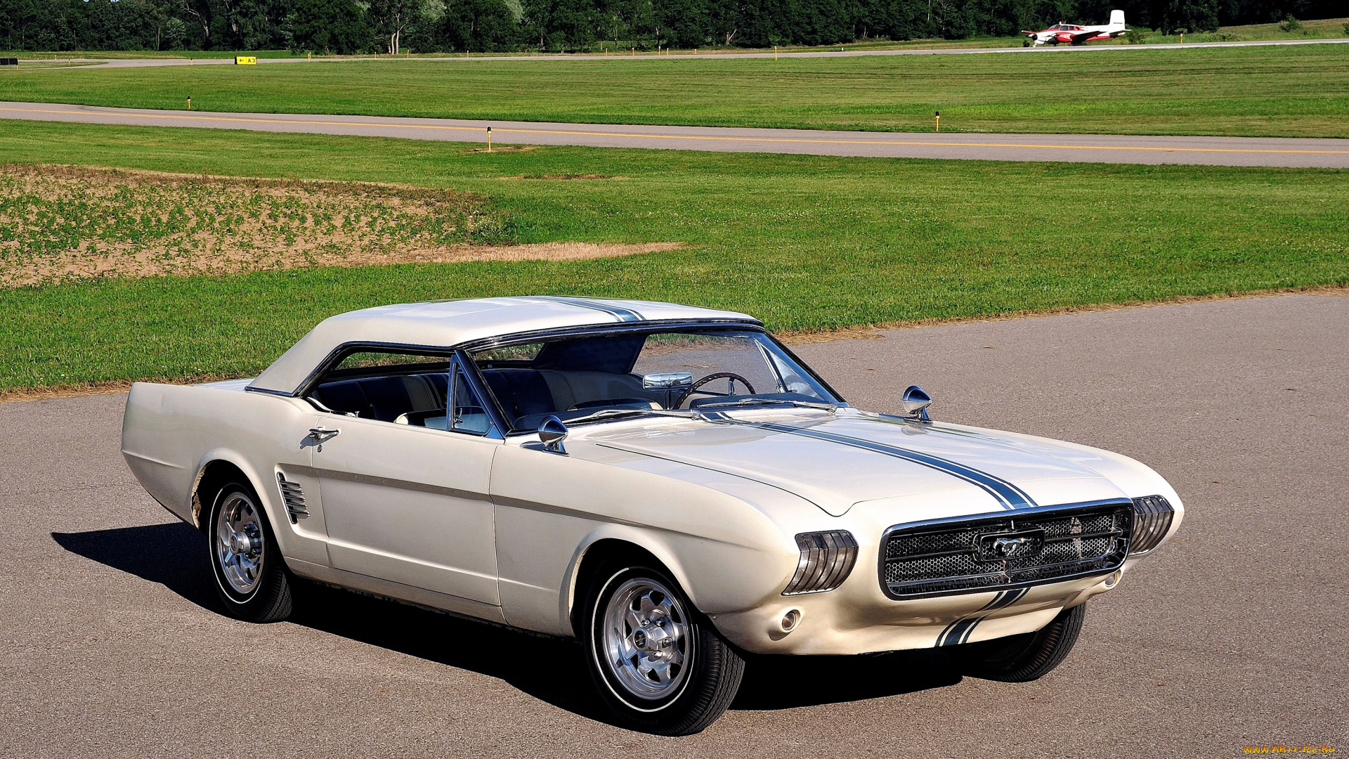 автомобили, mustang