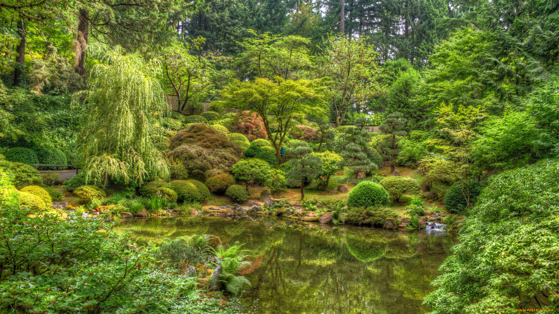 природа, реки, озера, река, лес