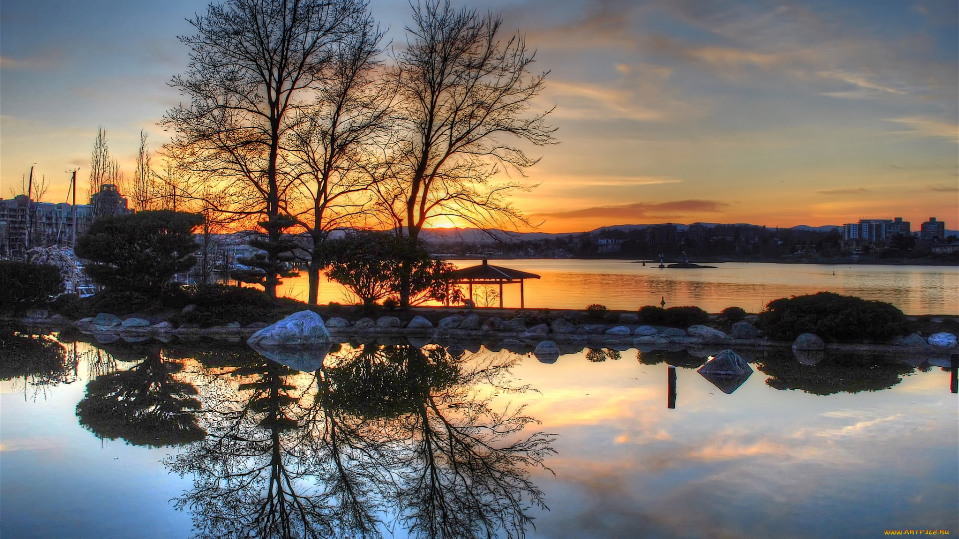 природа, реки, озера, река, лес