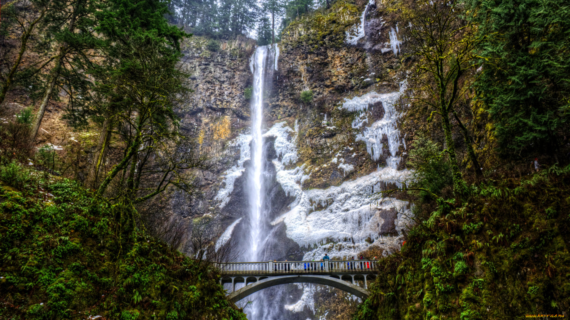 природа, водопады, река, лес, водопад