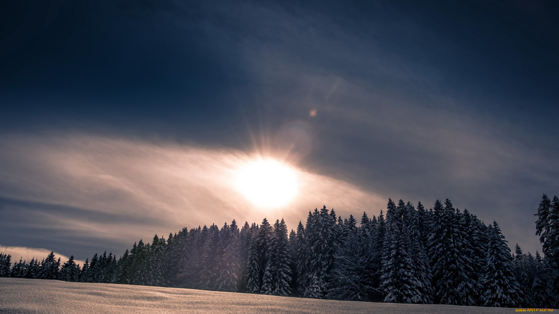 природа, зима, лес, снег