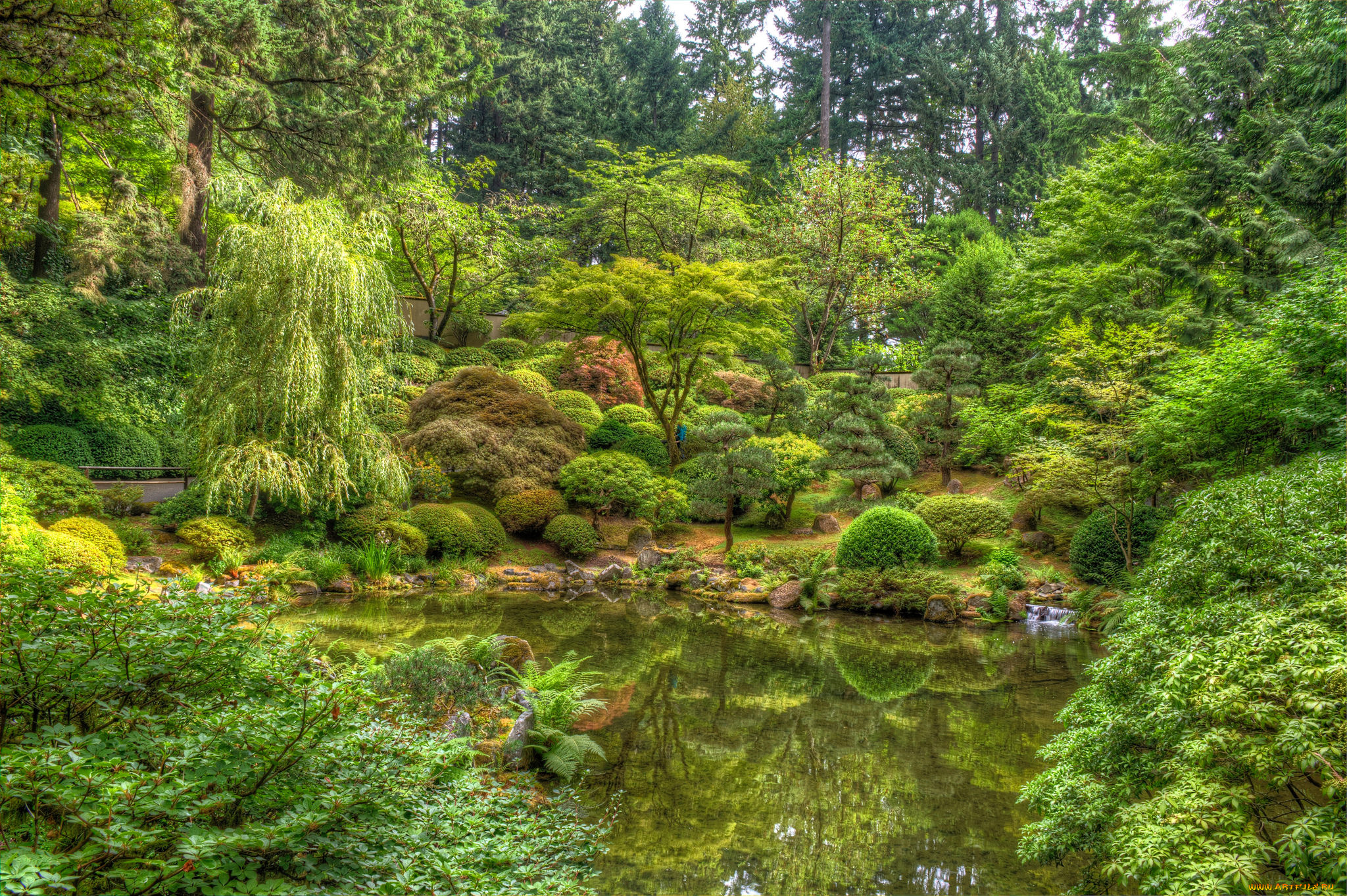 природа, реки, озера, река, лес