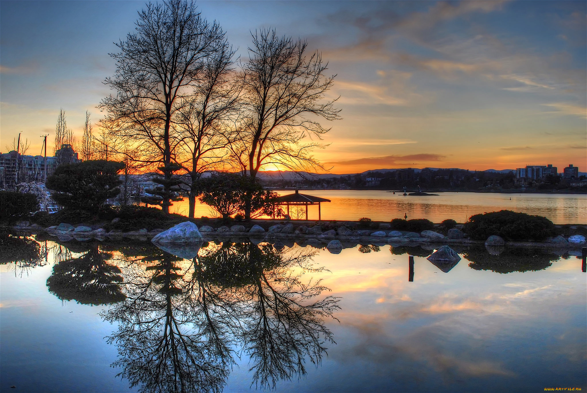 природа, реки, озера, река, лес