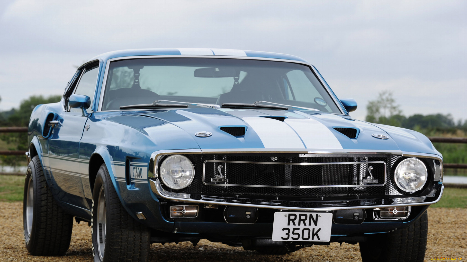 автомобили, mustang