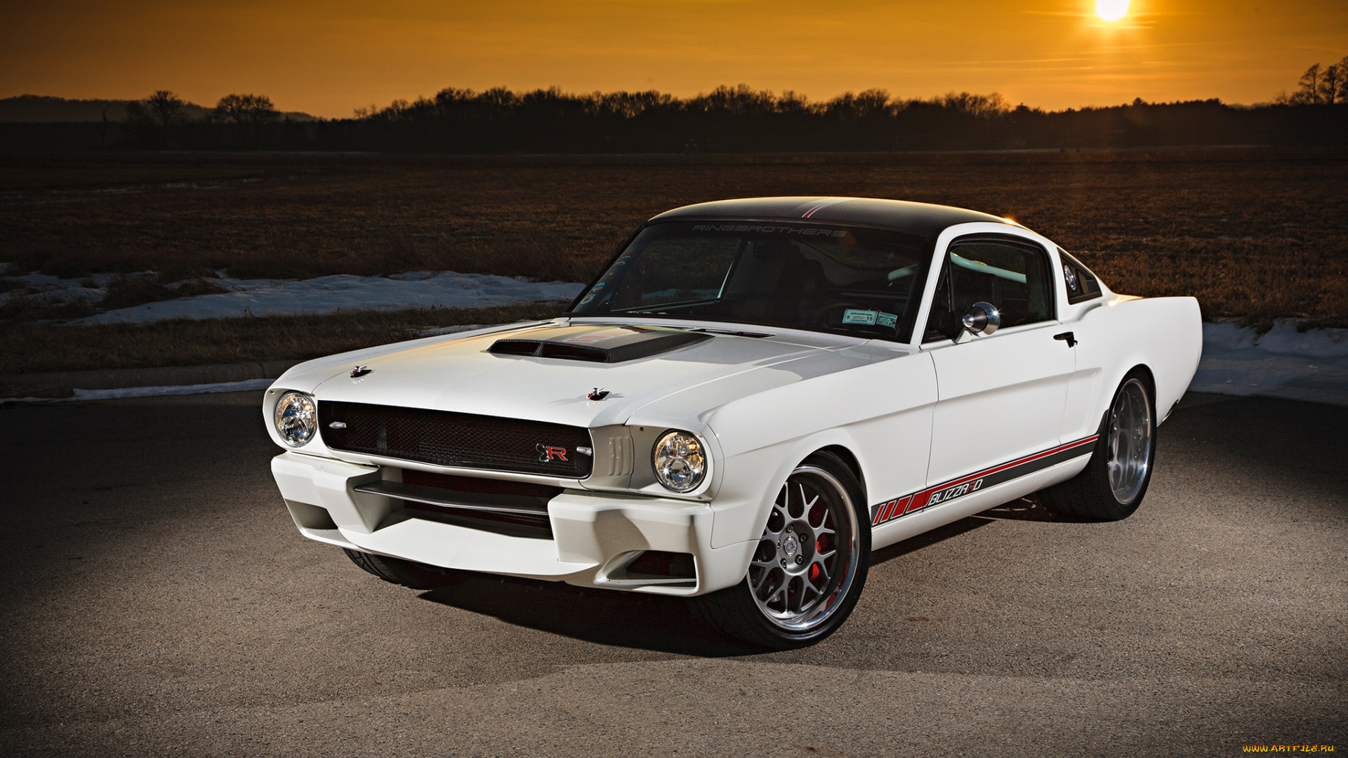 автомобили, mustang