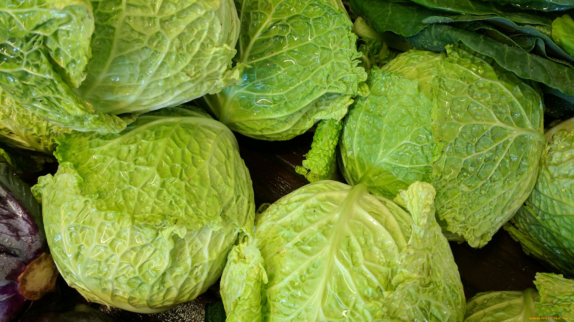 еда, капуста, и, её, разновидности, листовая
