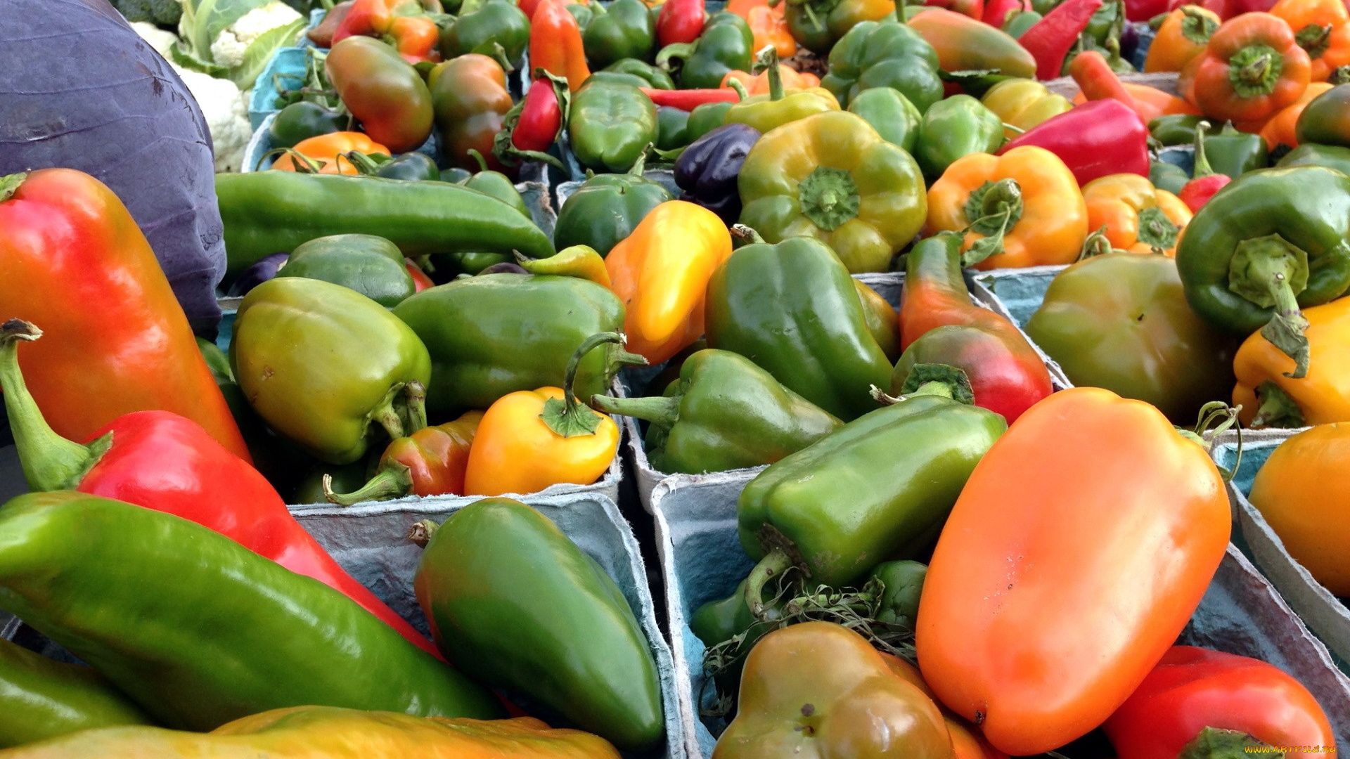 еда, перец, много, перцы