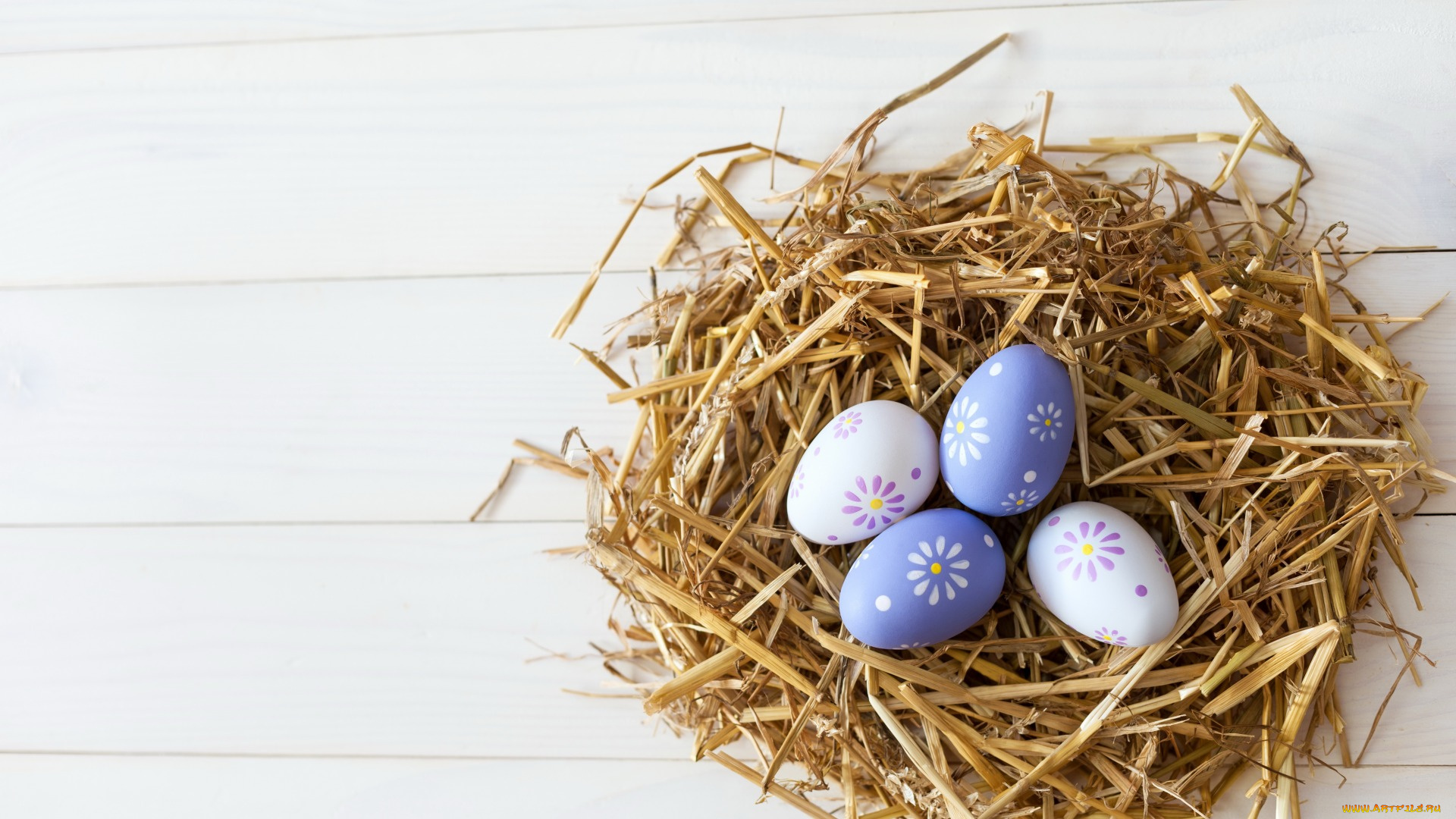 праздничные, пасха, яйца