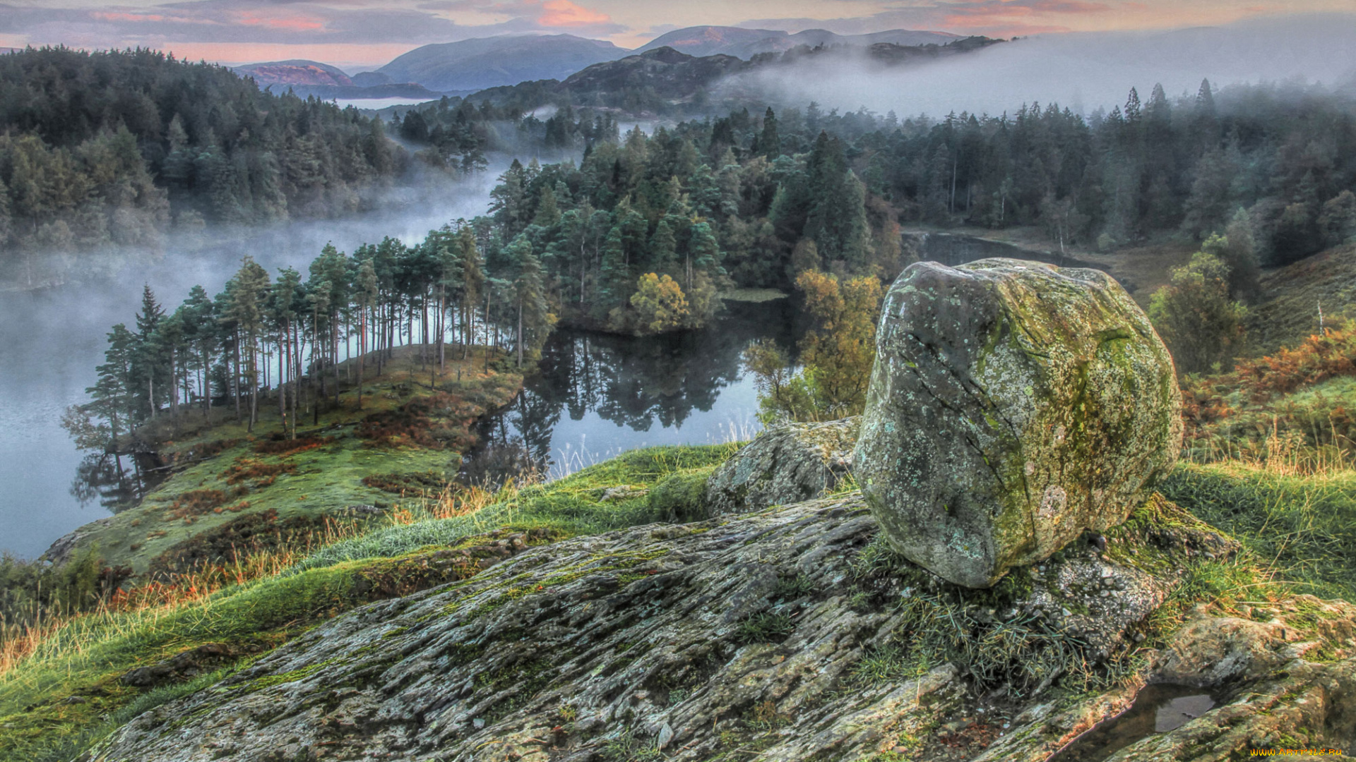 природа, реки, озера, лес, река