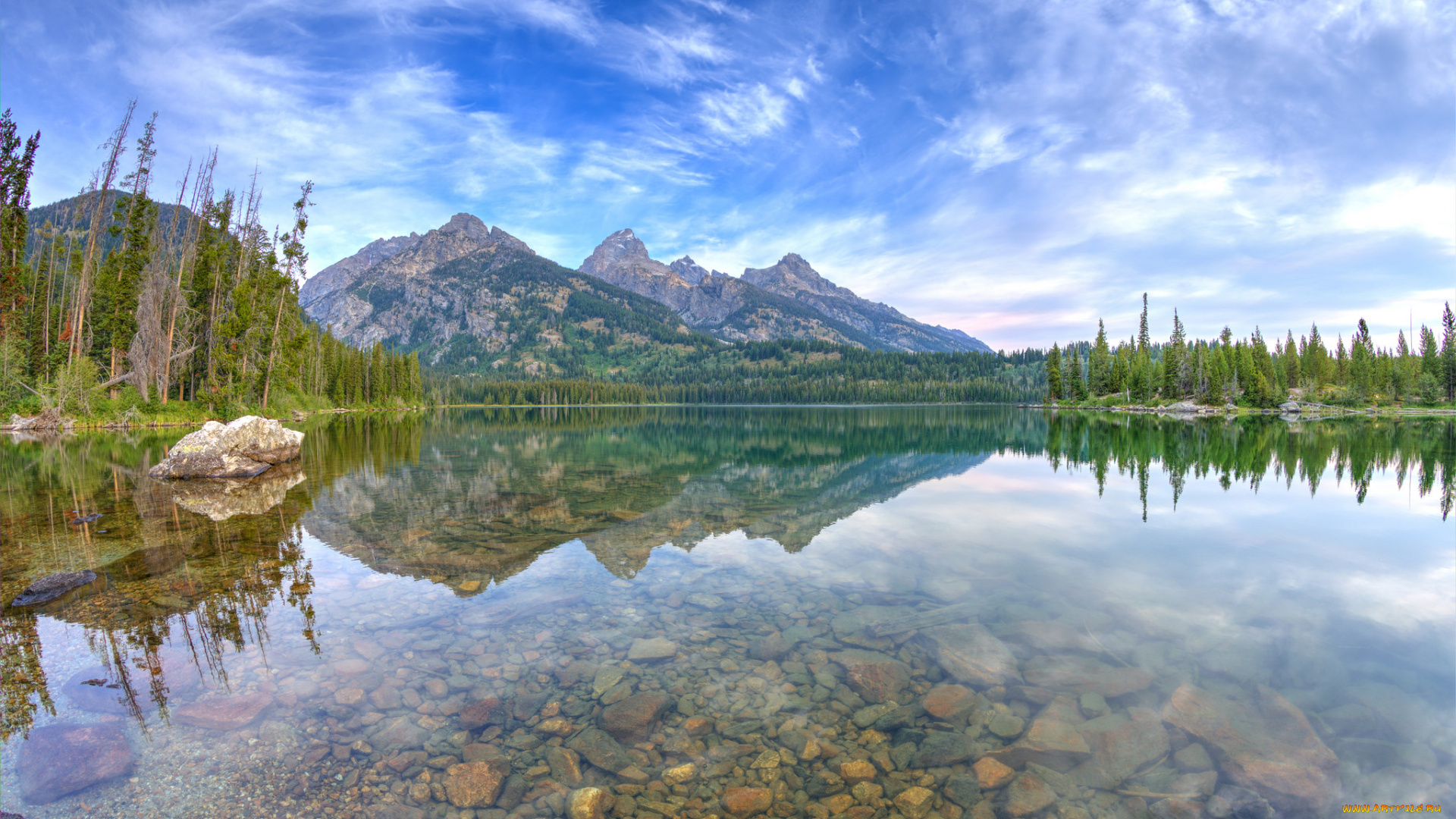 природа, реки, озера, лес, река